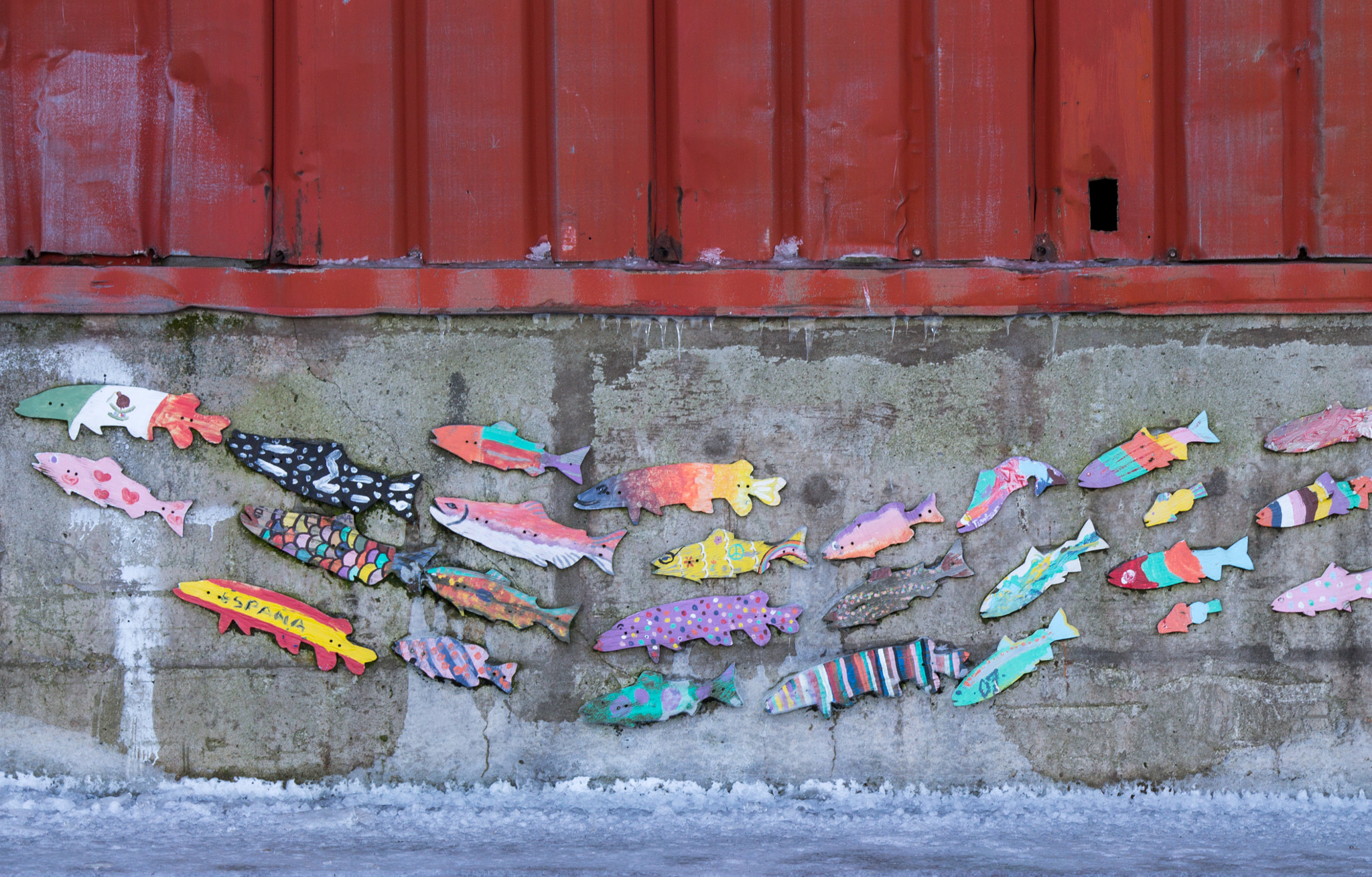 Canon EOS 1100D (EOS Rebel T3 / EOS Kiss X50) sample photo. Fish frozen in time photography