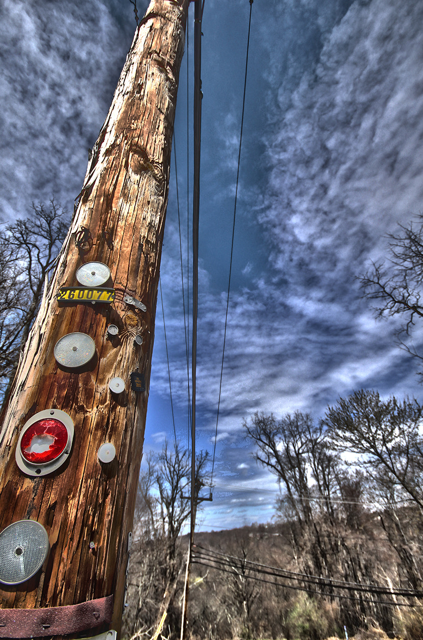 Sigma 10-20mm F4-5.6 EX DC HSM sample photo. Pole photography
