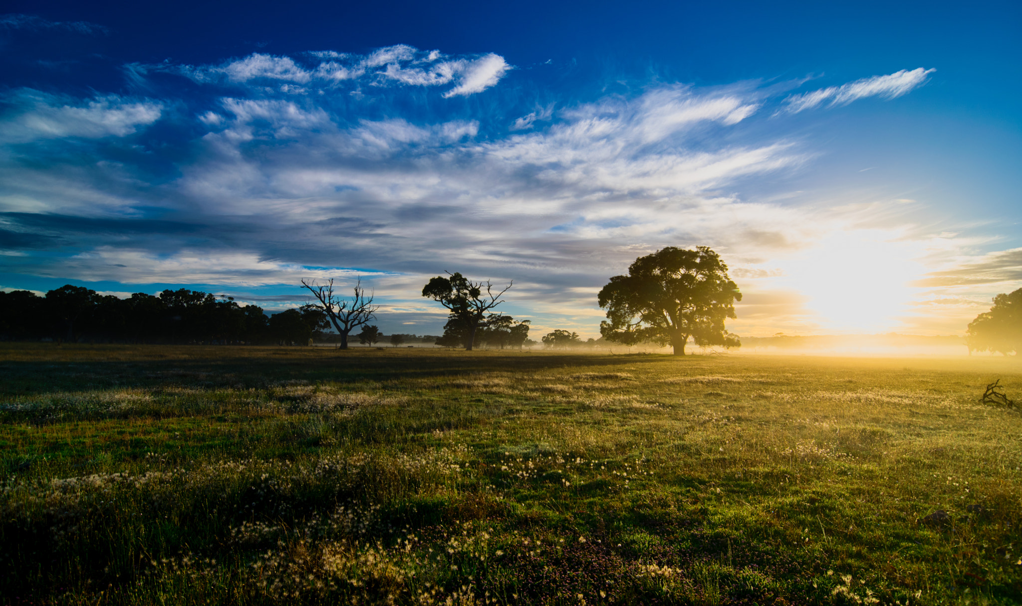 Tokina AT-X Pro 12-24mm F4 (IF) DX sample photo. Arkangel (for john) photography