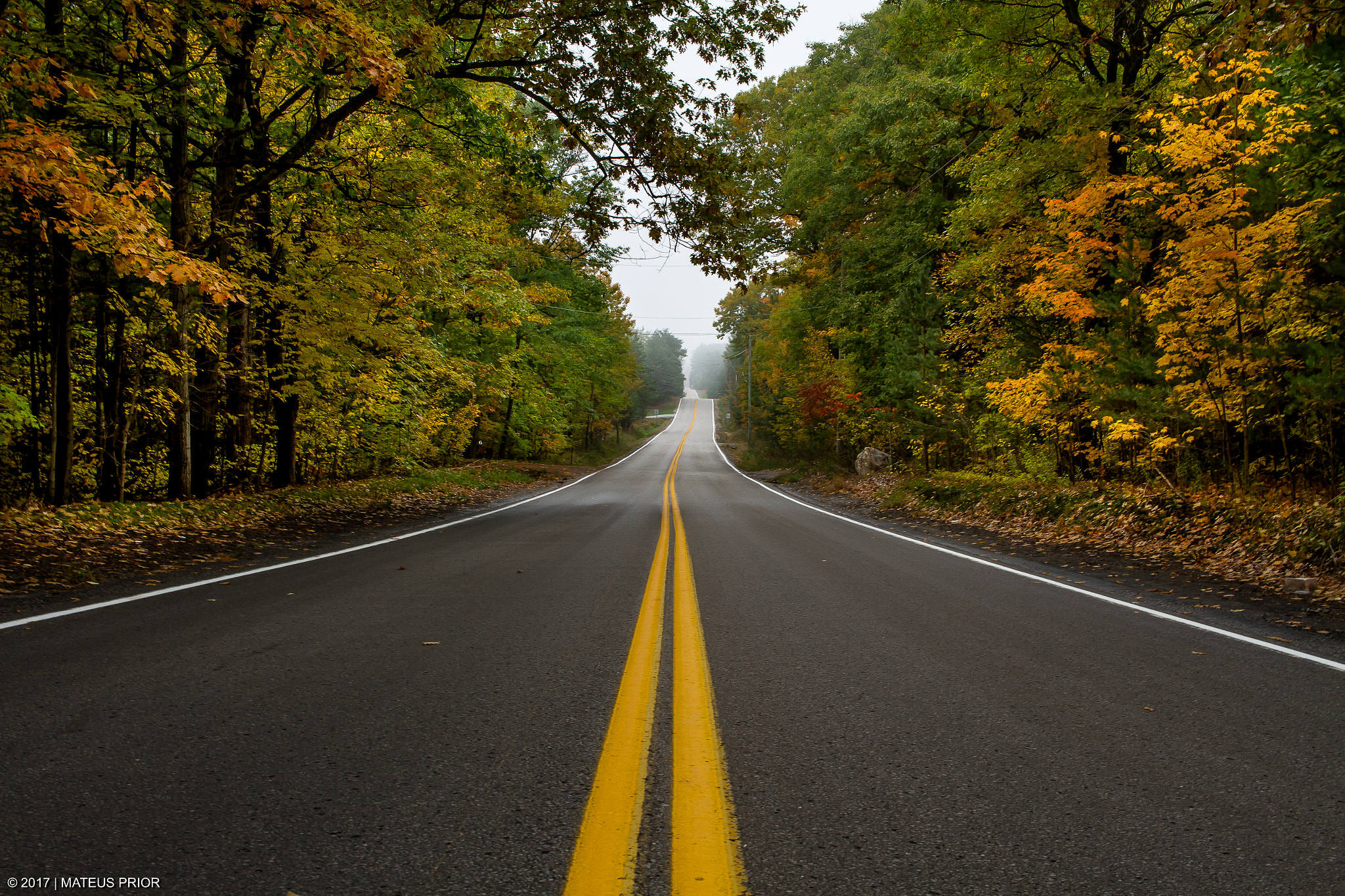 Canon EOS 7D + Canon EF-S 24mm F2.8 STM sample photo. Road to infinity photography