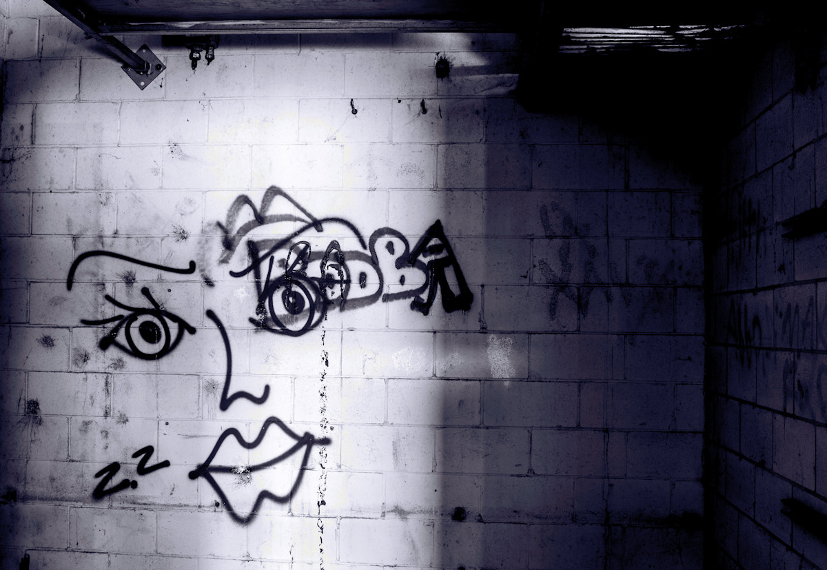 Canon EF-S 24mm F2.8 STM sample photo. Art in old factory photography