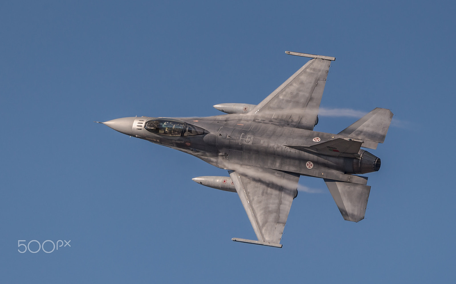 Sigma 150-600mm F5-6.3 DG OS HSM | C sample photo. Poaf f-16 mlu (15110) photography