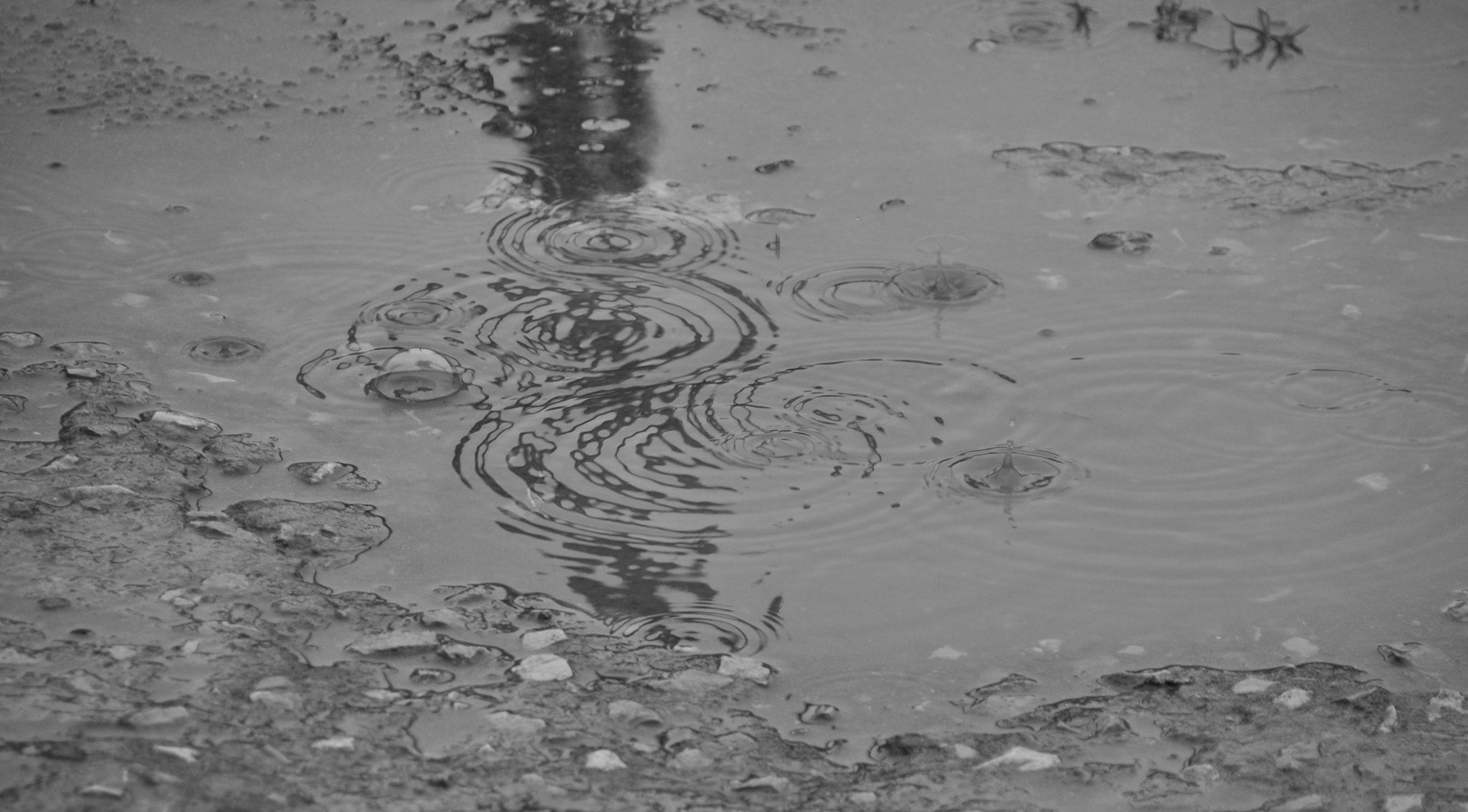 Nikon D90 sample photo. Rain drops photography