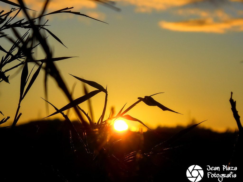 Nikon Coolpix L24 sample photo. Amanecer mirandino photography