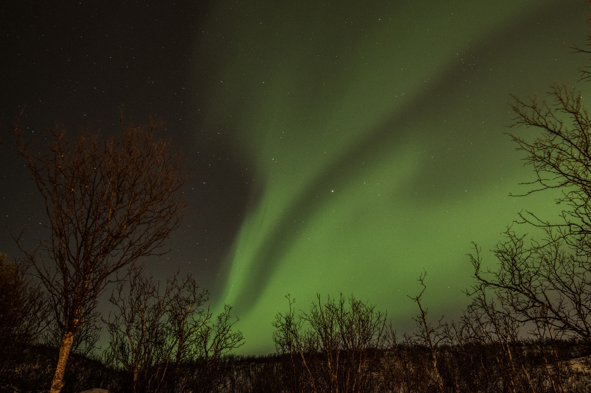 Samyang 14mm F2.8 ED AS IF UMC sample photo. Aurora photography