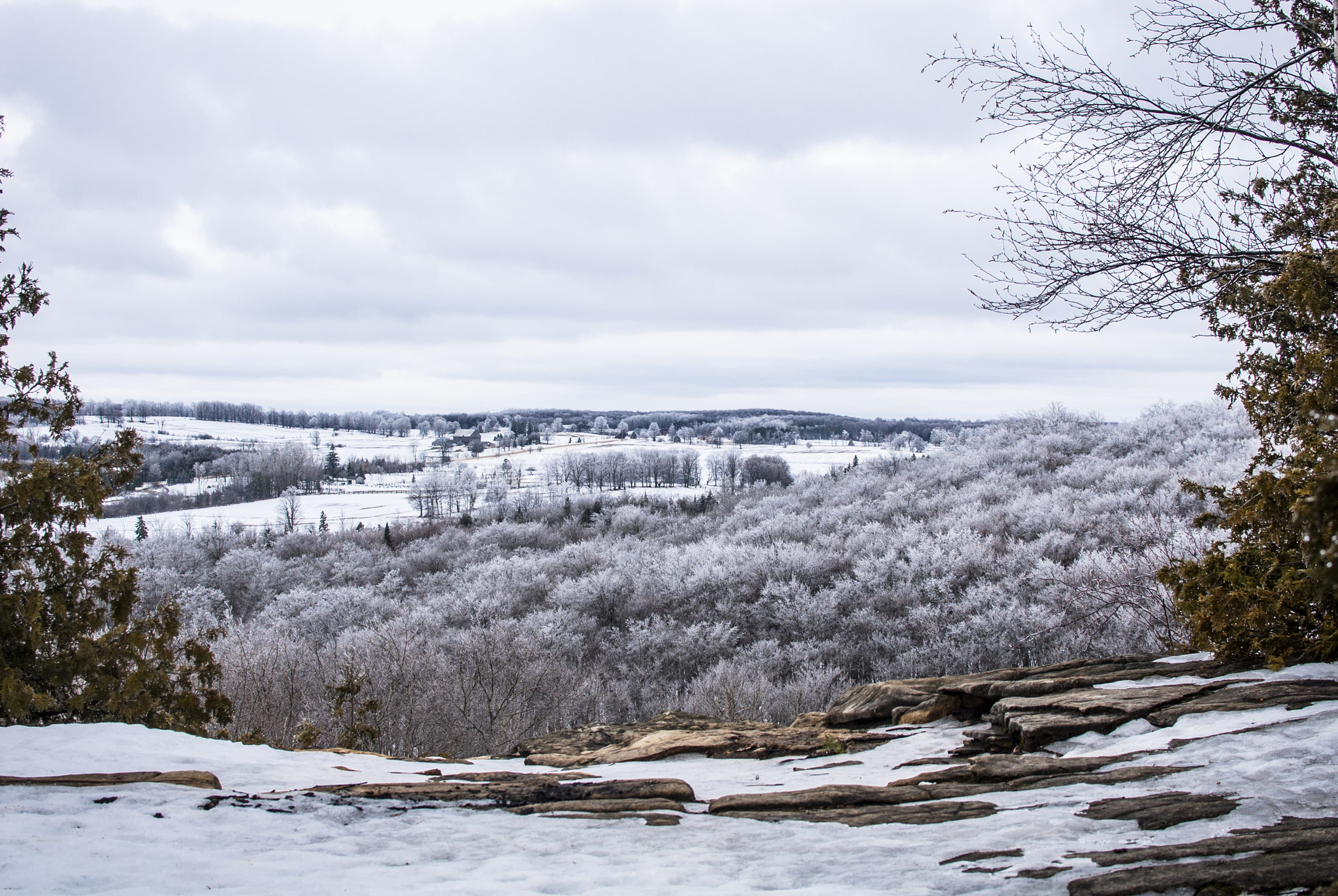 Nikon D200 + Nikon AF-S DX Nikkor 35mm F1.8G sample photo. A slippery (but altogether wonderful) cliff photography