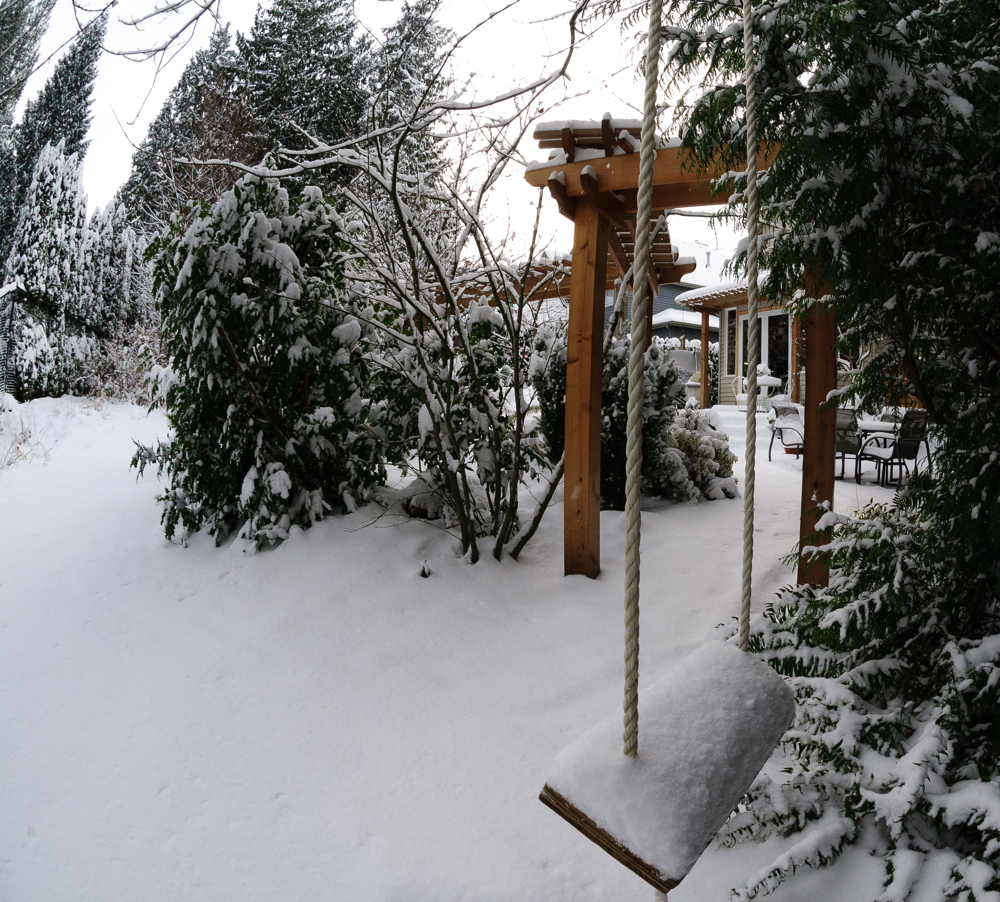Nikon AF DX Fisheye-Nikkor 10.5mm F2.8G ED sample photo. Snow photography
