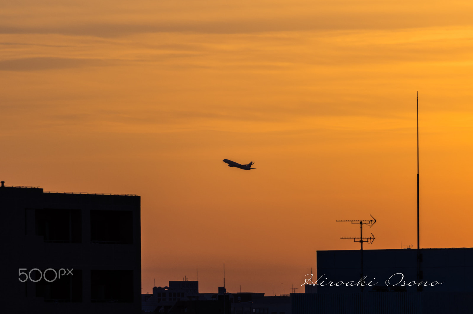 Pentax K-3 + Pentax smc DA* 300mm F4.0 ED (IF) SDM sample photo. Most early departures photography