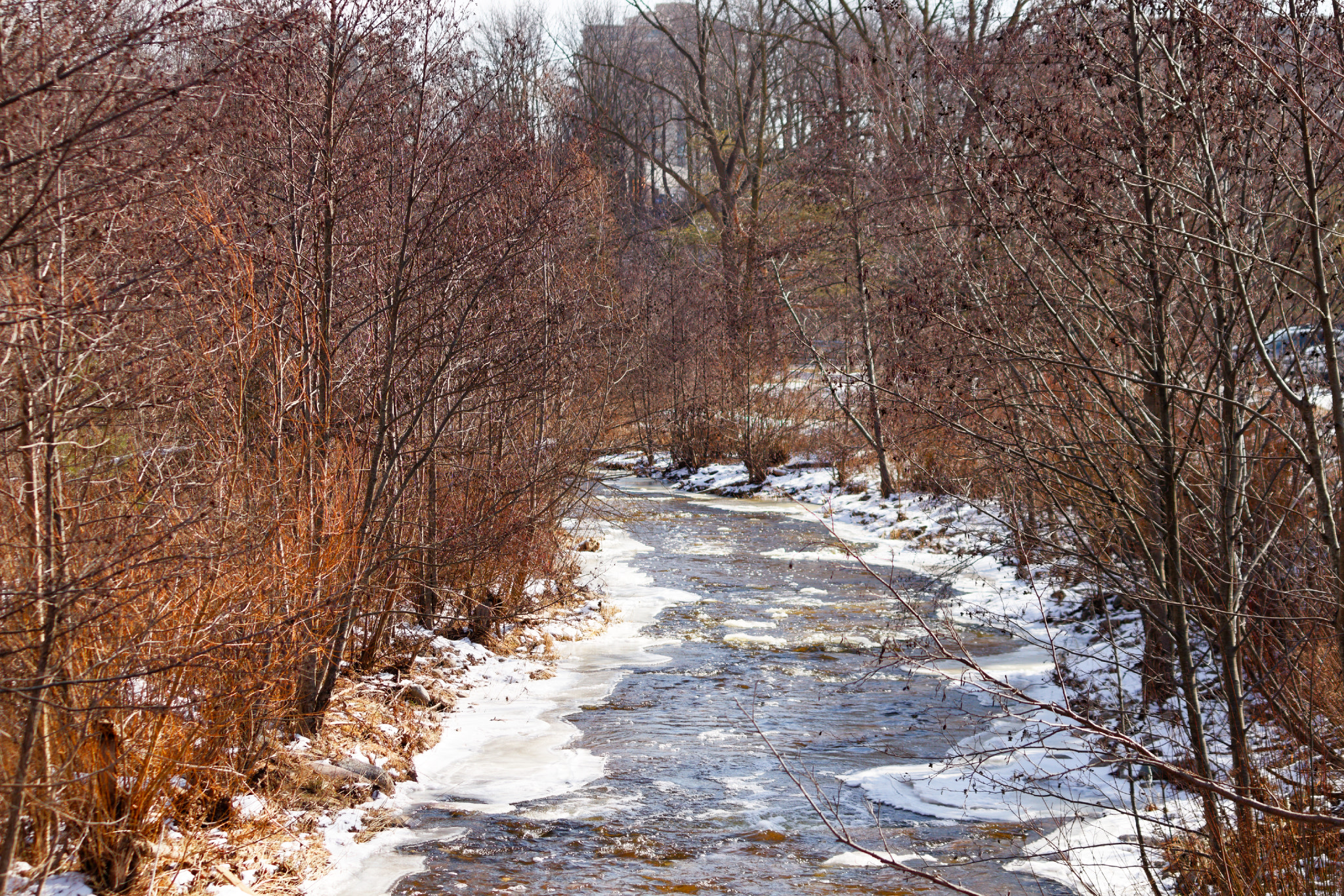 Canon EOS 100D (EOS Rebel SL1 / EOS Kiss X7) sample photo. Grindstone crek photography