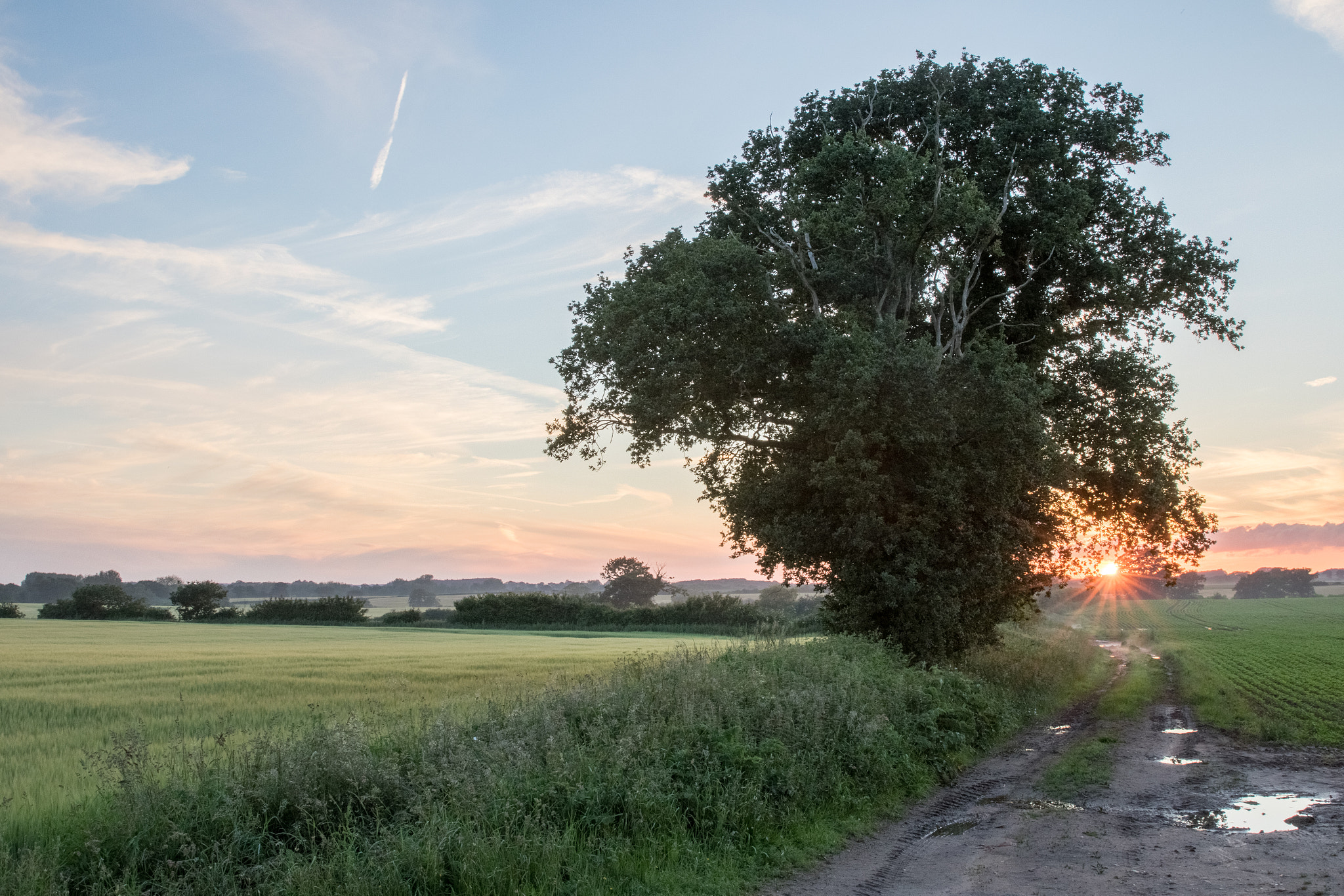 Canon EF 24-70mm F2.8L II USM sample photo. Norfolk june photography
