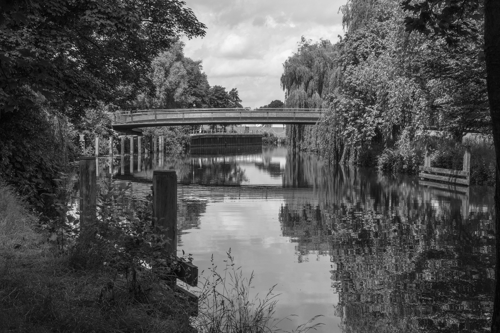 Canon EF 24-70mm F2.8L II USM sample photo. Norfolk june photography