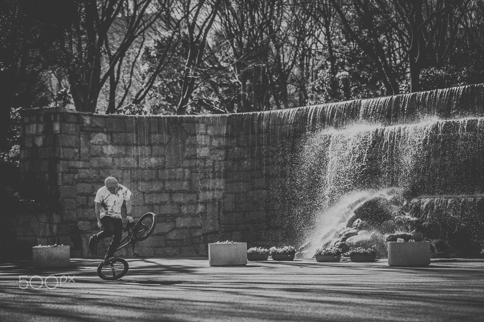 Nikon D5 sample photo. Tsutomu in shinjuku park photography