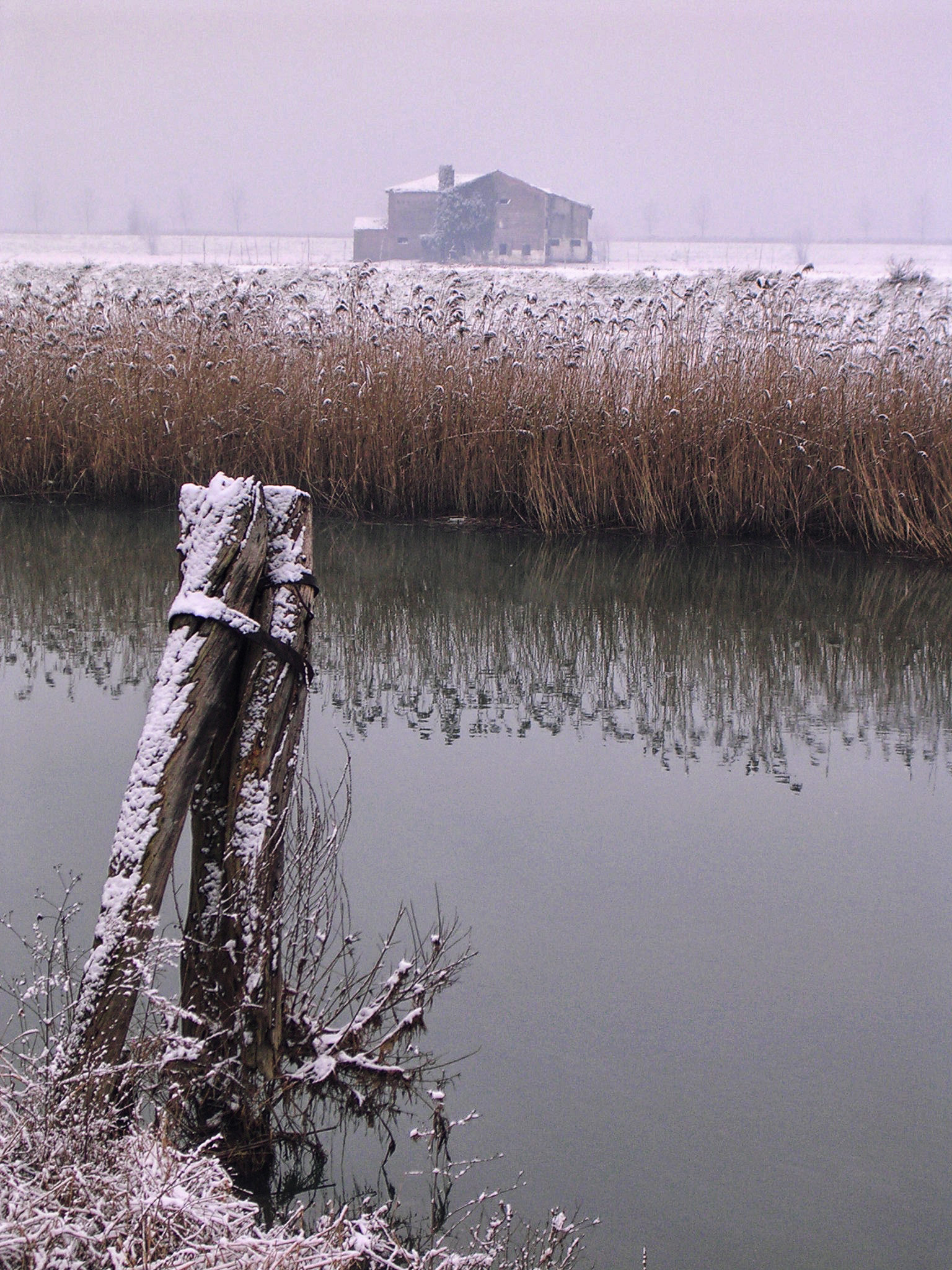 Nikon E3100 sample photo. Jesolo (venezia) photography