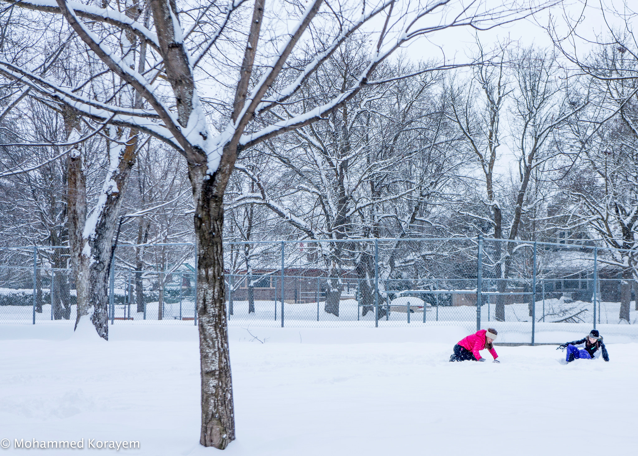 Hasselblad Lunar sample photo. Snow photography