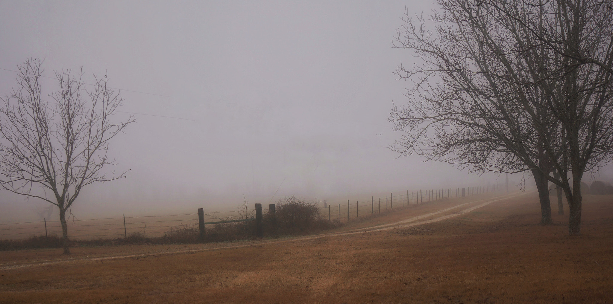 Sony Alpha NEX-6 + Sony E 55-210mm F4.5-6.3 OSS sample photo. Ol dirt road photography