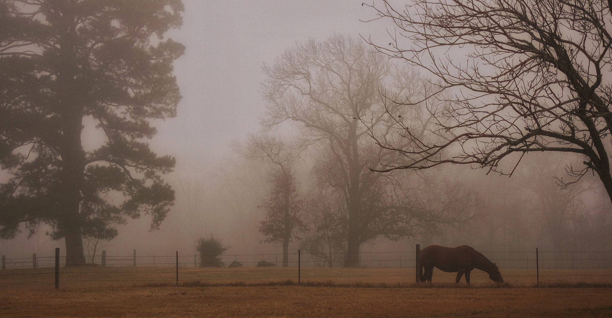 Sony Alpha NEX-6 sample photo. Morning mist with mini photography