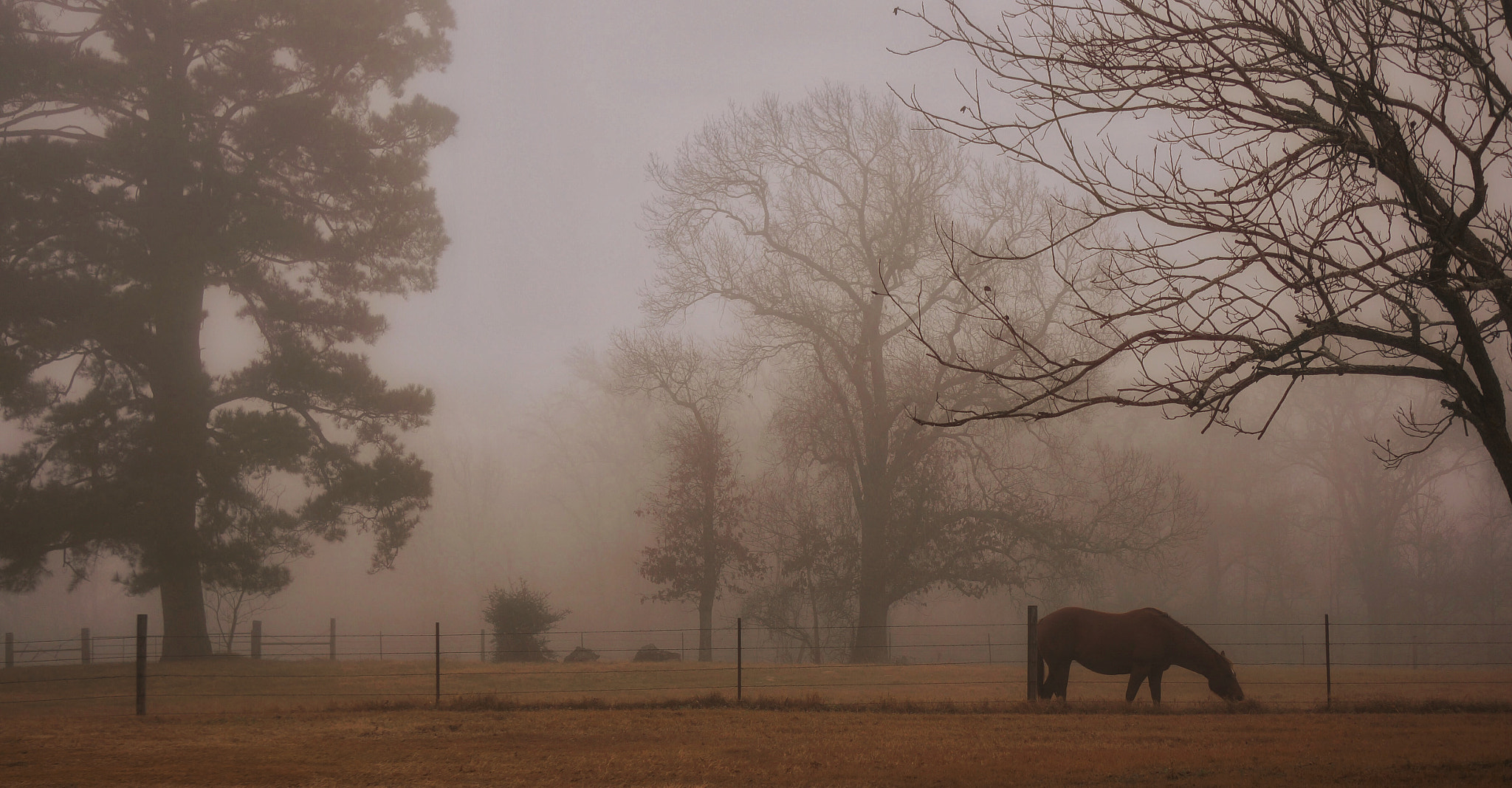 Sony Alpha NEX-6 + Sony E 55-210mm F4.5-6.3 OSS sample photo. Morning mist with mini photography