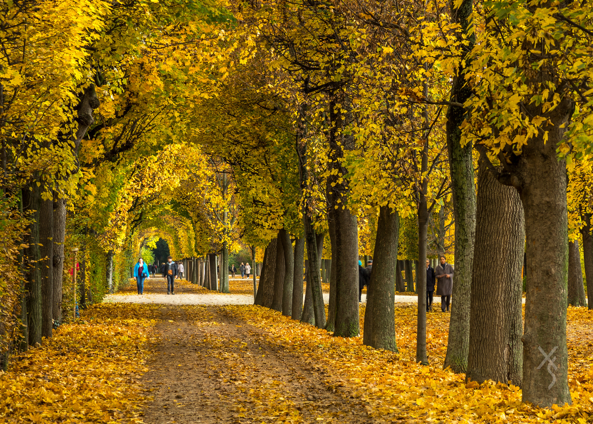 Pentax K-5 II sample photo. The autumn photography