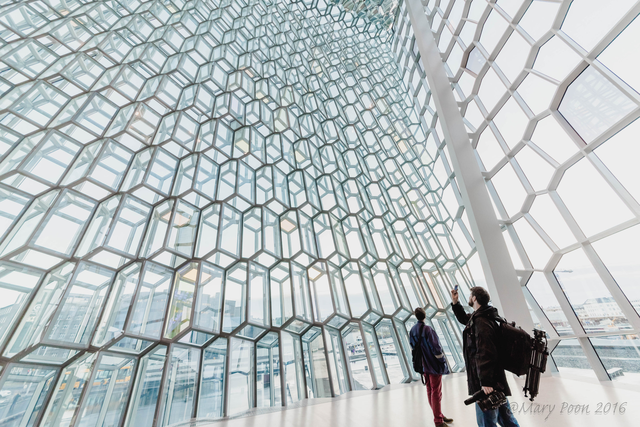 Nikon D810 + Sigma 12-24mm F4.5-5.6 II DG HSM sample photo. Harpa interior photography