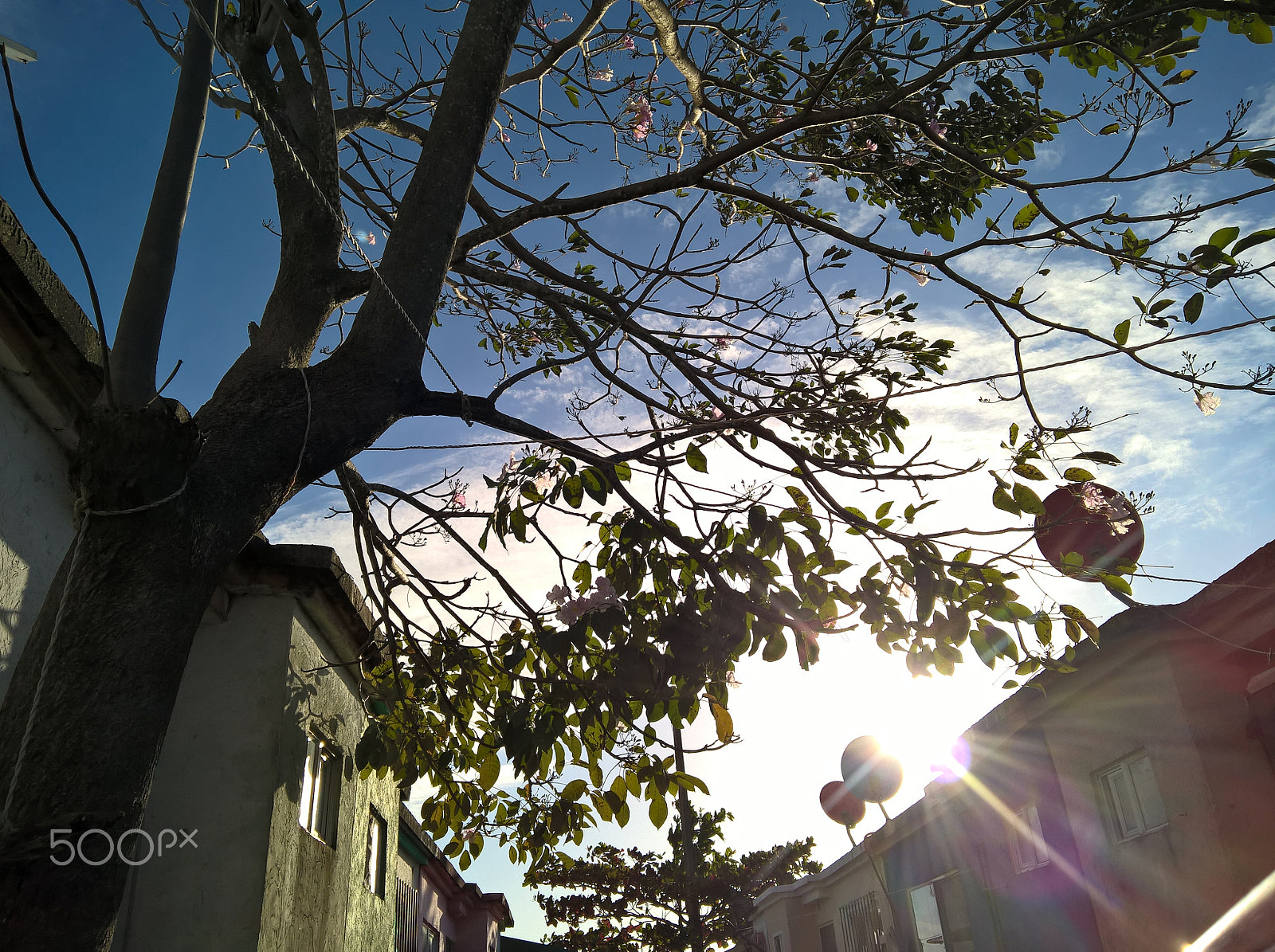 Microsoft Lumia 640 XL sample photo. Sol photography