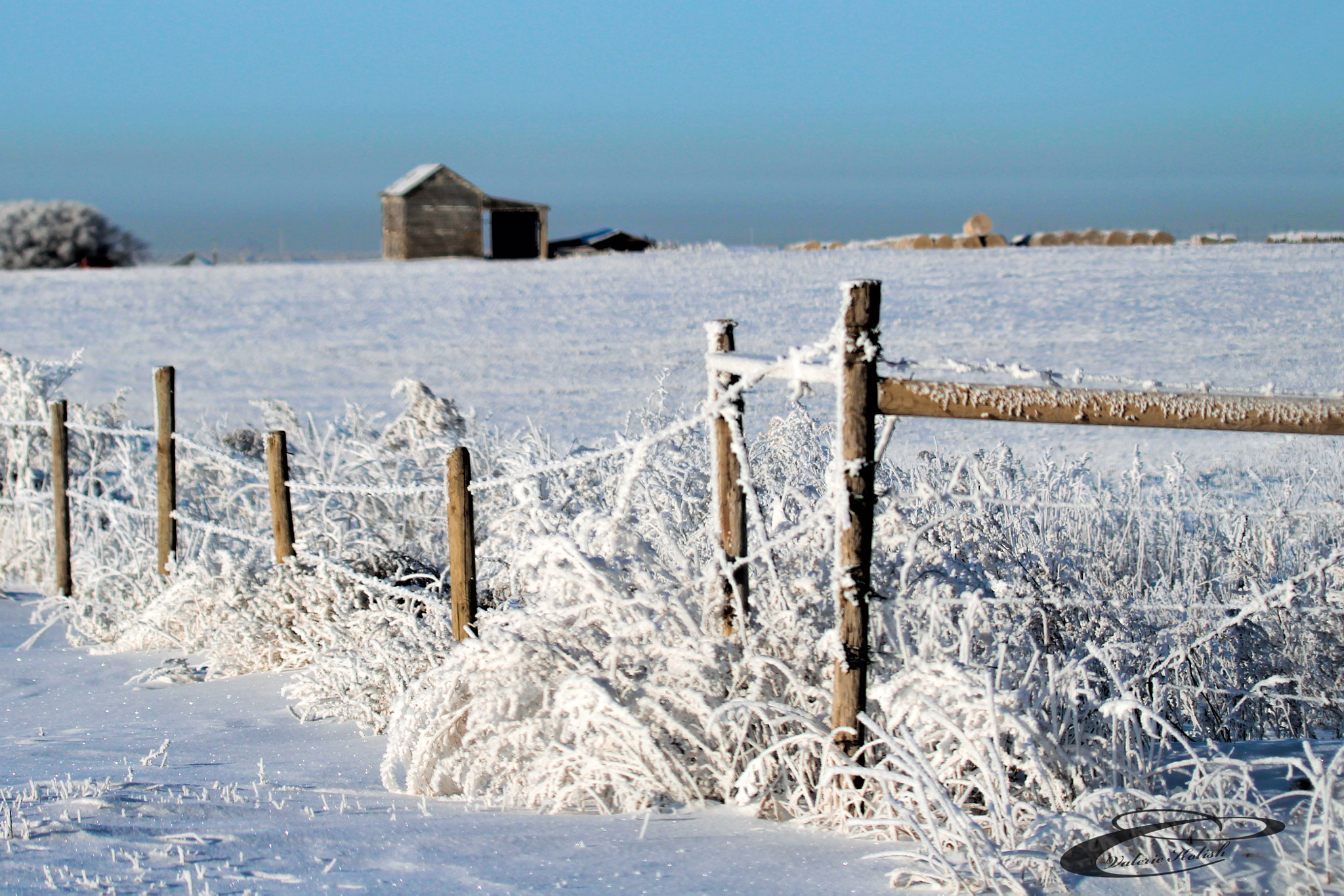 Canon EF 100-400mm F4.5-5.6L IS USM sample photo. Frosty fence photography