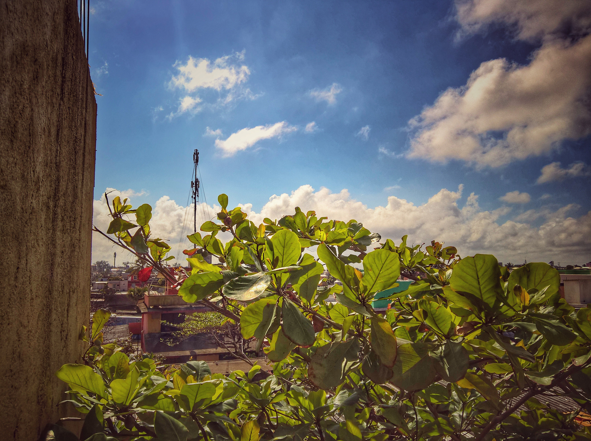 Microsoft Lumia 640 XL sample photo. Natura photography