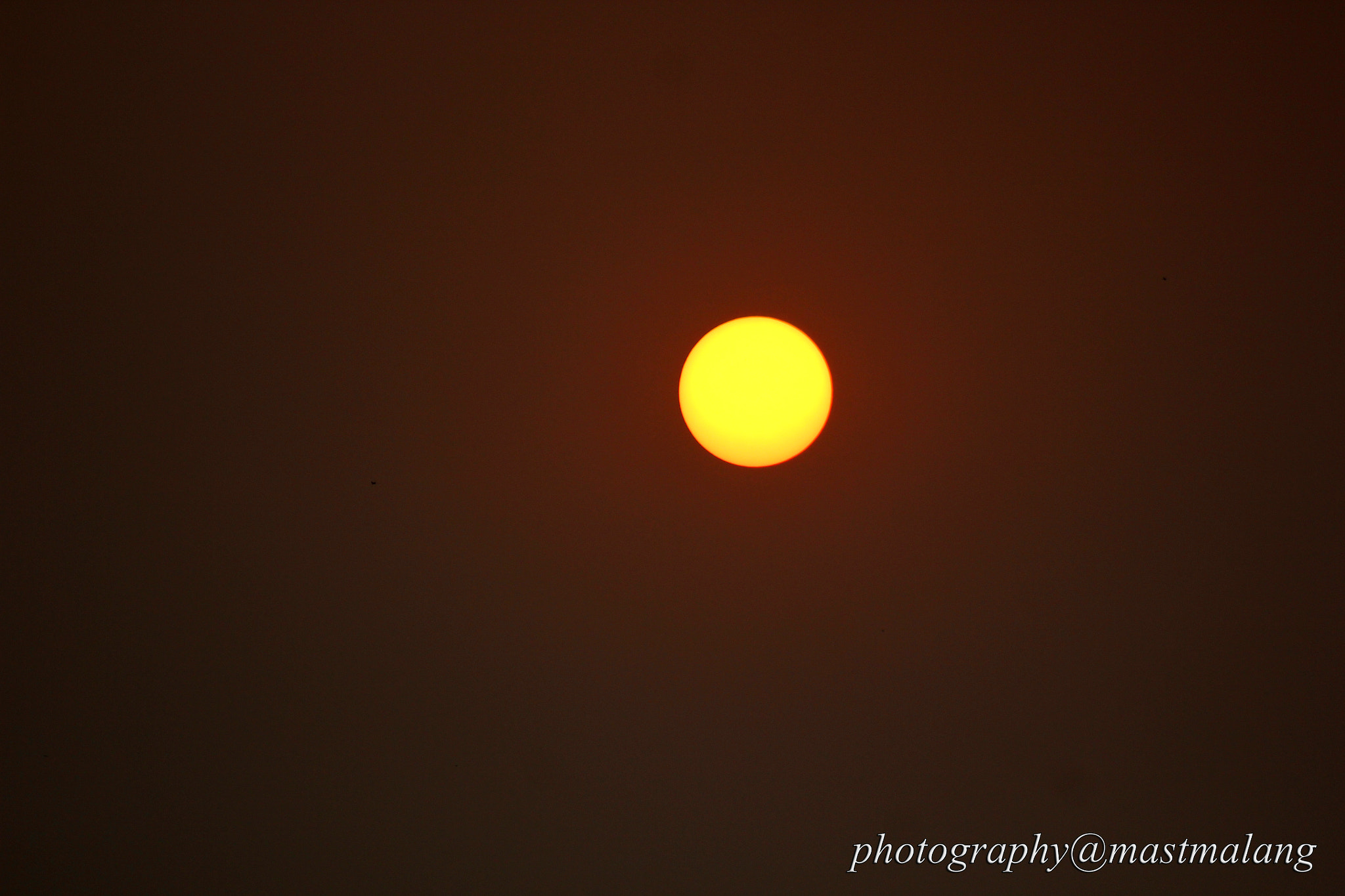 Canon EOS 550D (EOS Rebel T2i / EOS Kiss X4) + EF75-300mm f/4-5.6 sample photo. The sun photography