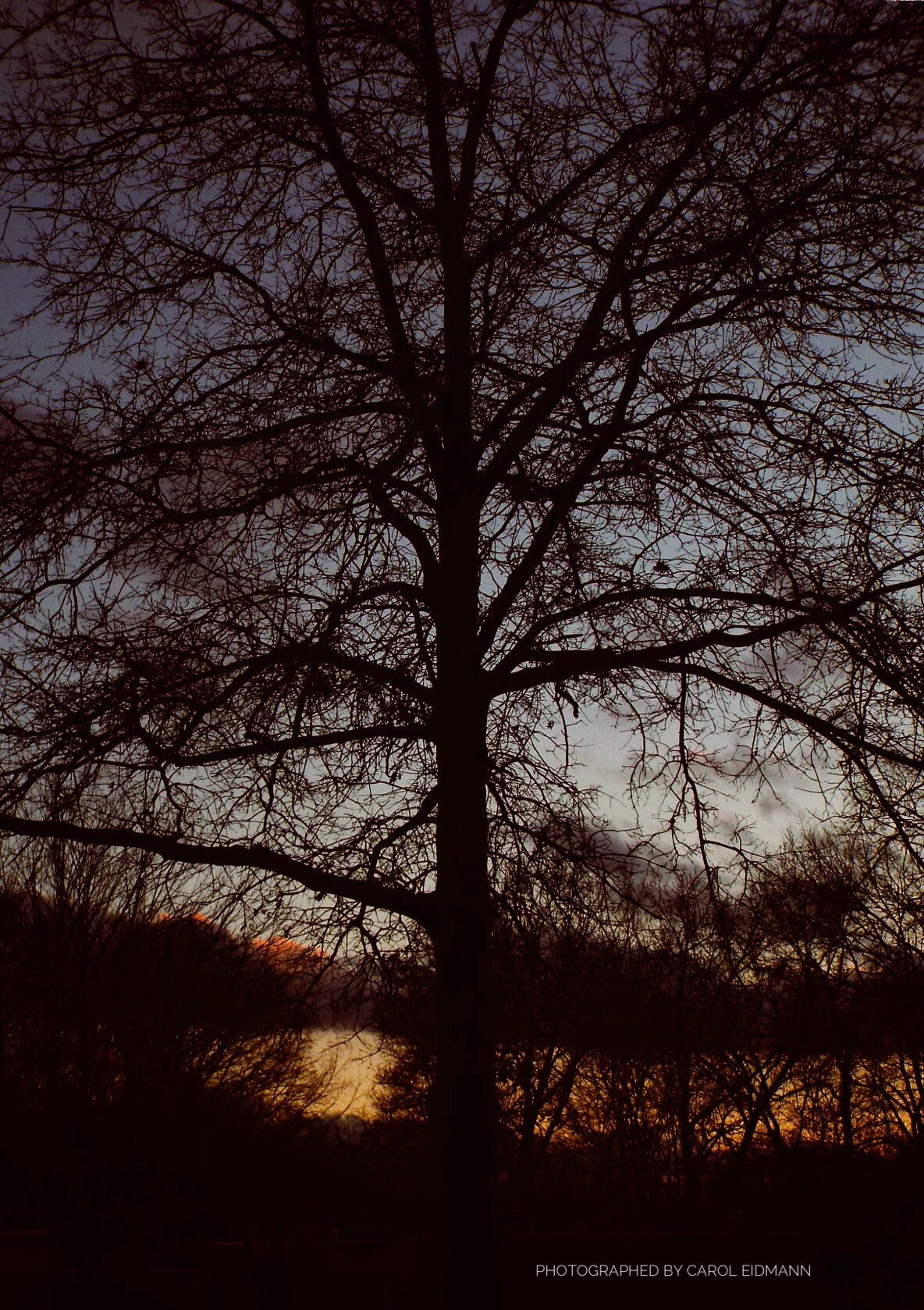 Fujifilm FinePix S9900W S9950W sample photo. " sundown" photography