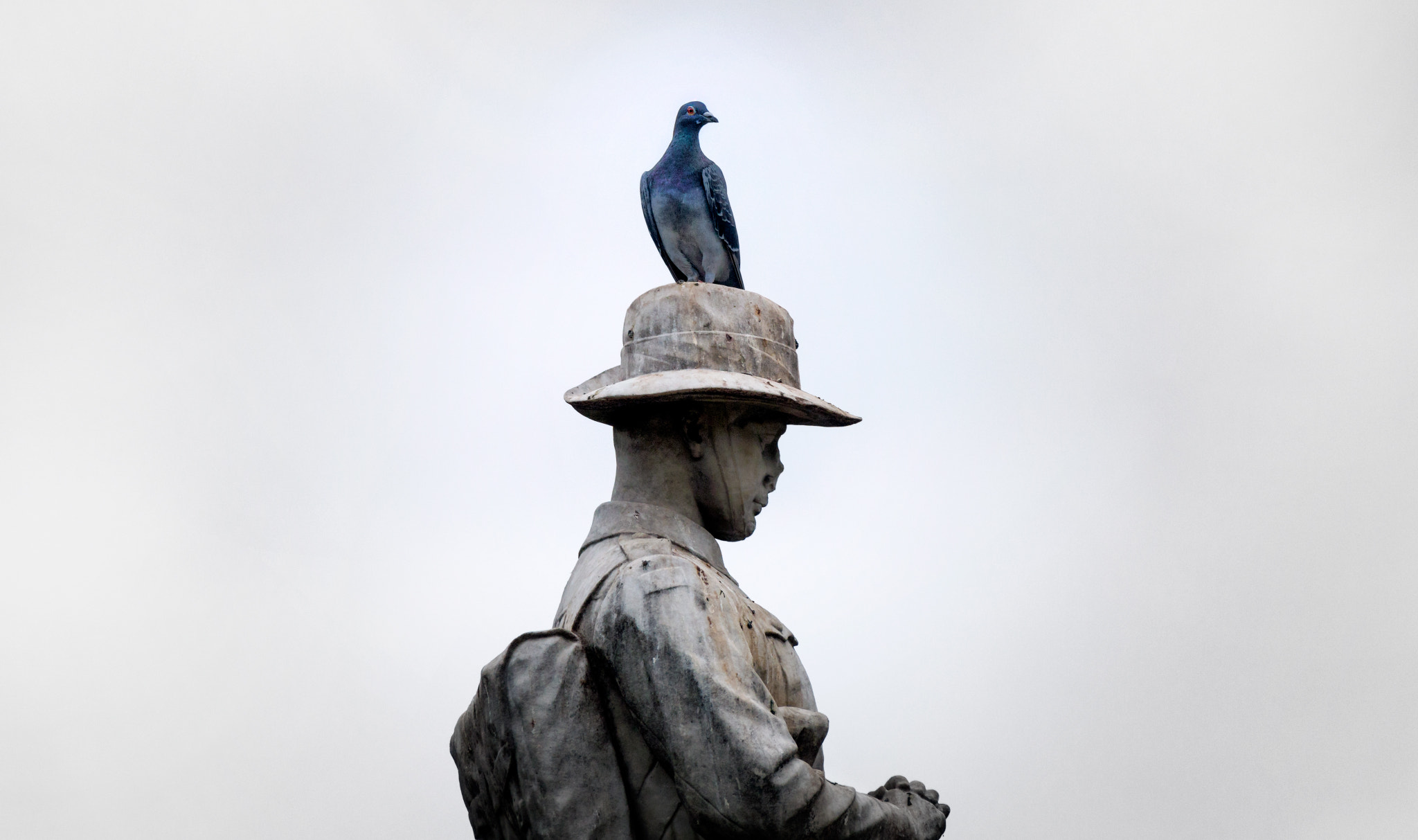 Canon EF 28-300mm F3.5-5.6L IS USM sample photo. Peace — above all. photography