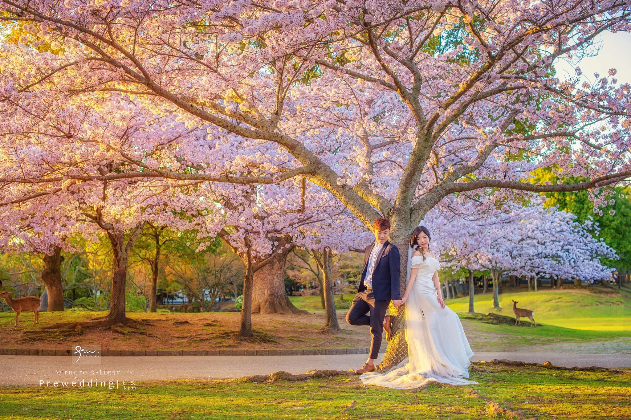 Nikon D4S sample photo. 九三影社西安婚礼摄影工作室 photography