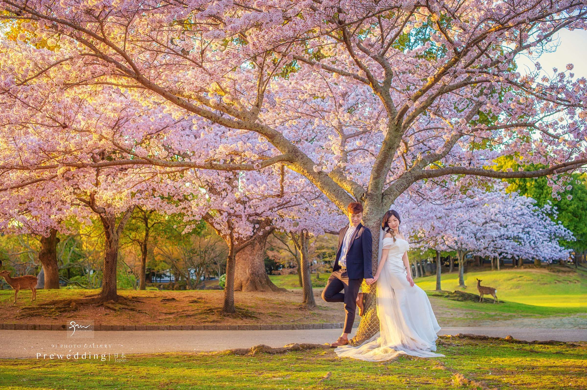 Nikon D4S + Nikon AF-S Nikkor 50mm F1.4G sample photo. 九三影社西安婚礼摄影工作室 photography