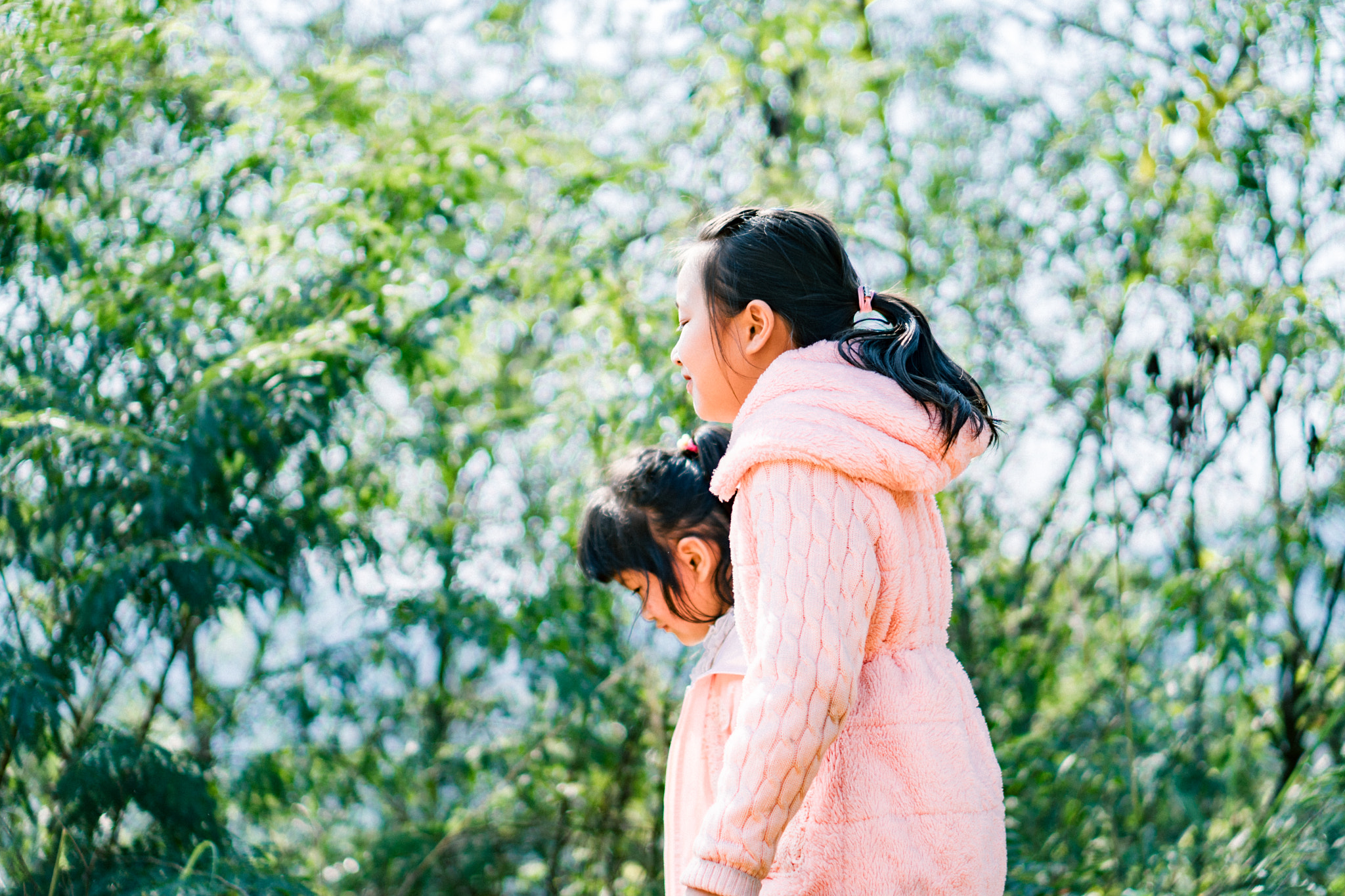 Sony a6300 + E 50mm F1.8 OSS sample photo. Dsc photography
