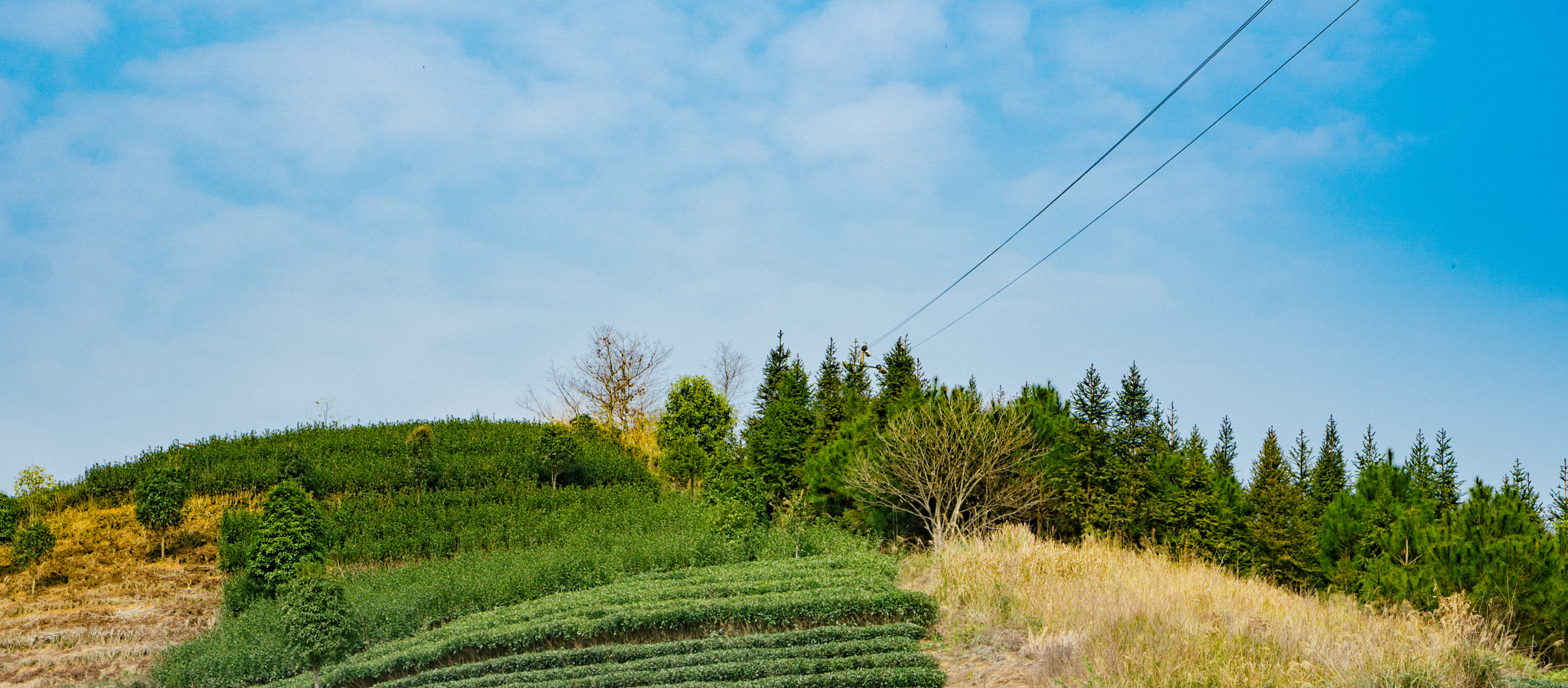 Sony a6300 + E 50mm F1.8 OSS sample photo. Dsc photography