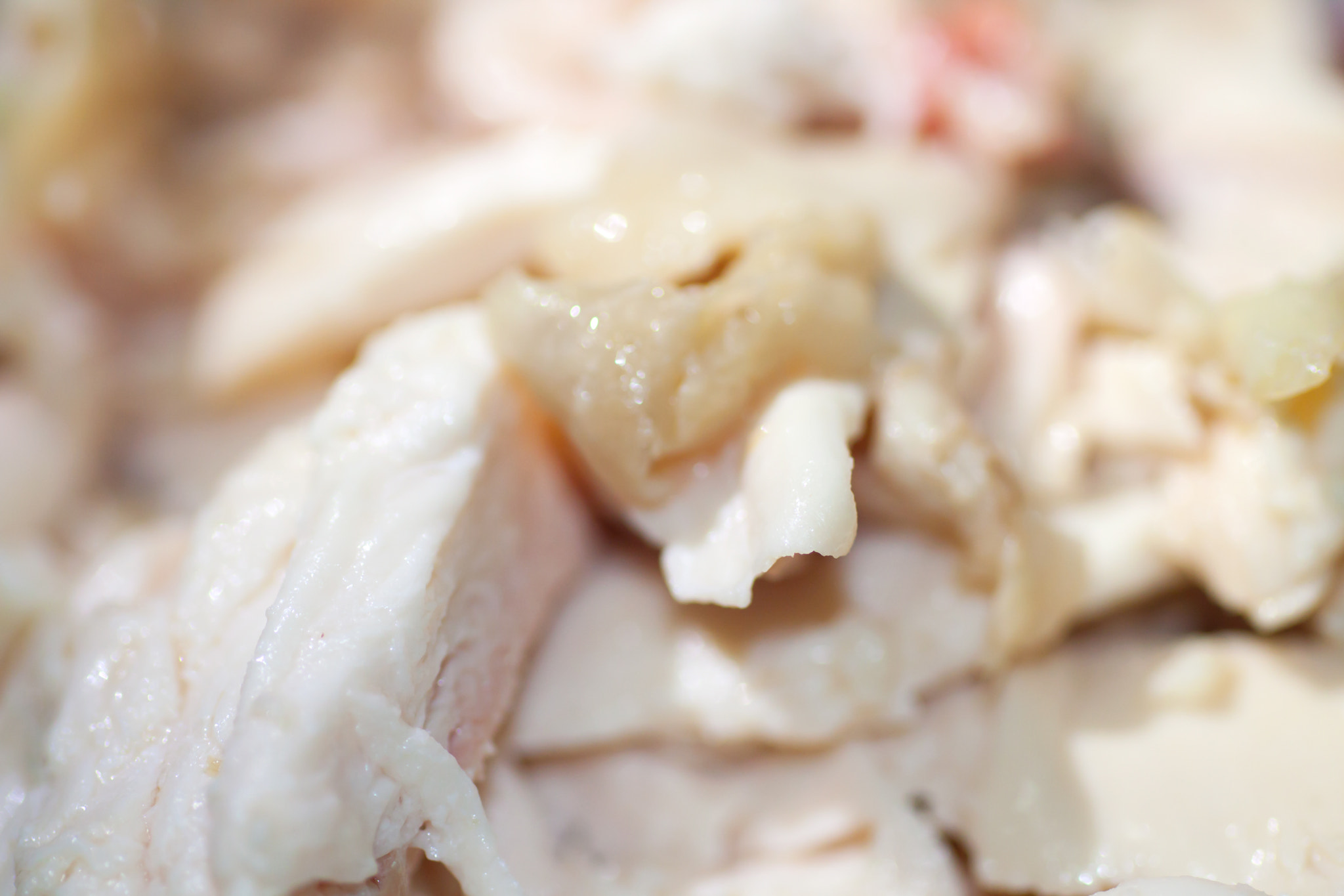 Sigma 70mm F2.8 EX DG Macro sample photo. Fresh poached chicken meat photography