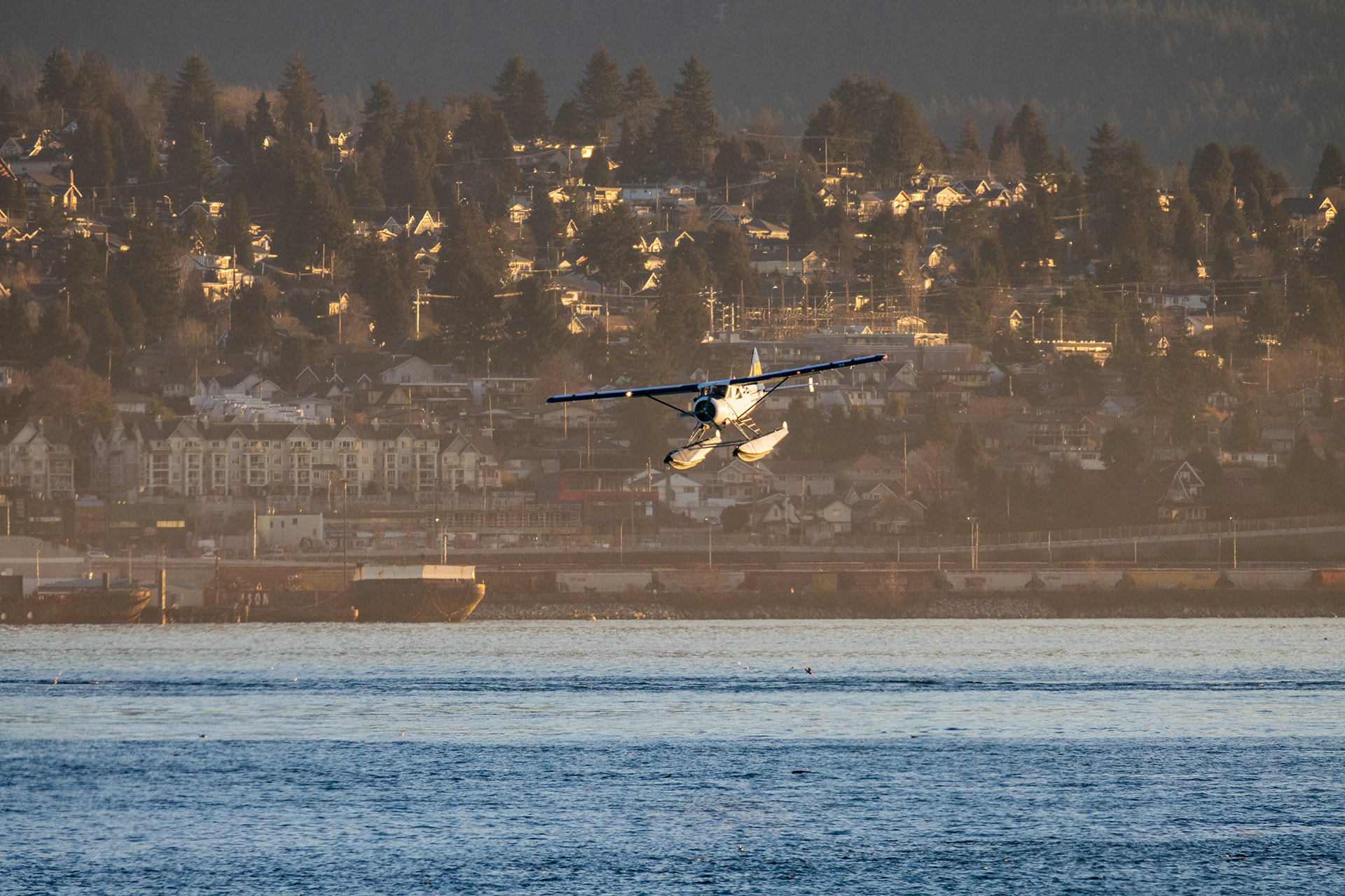 Nikon 1 J5 sample photo. Maneuver for landing photography