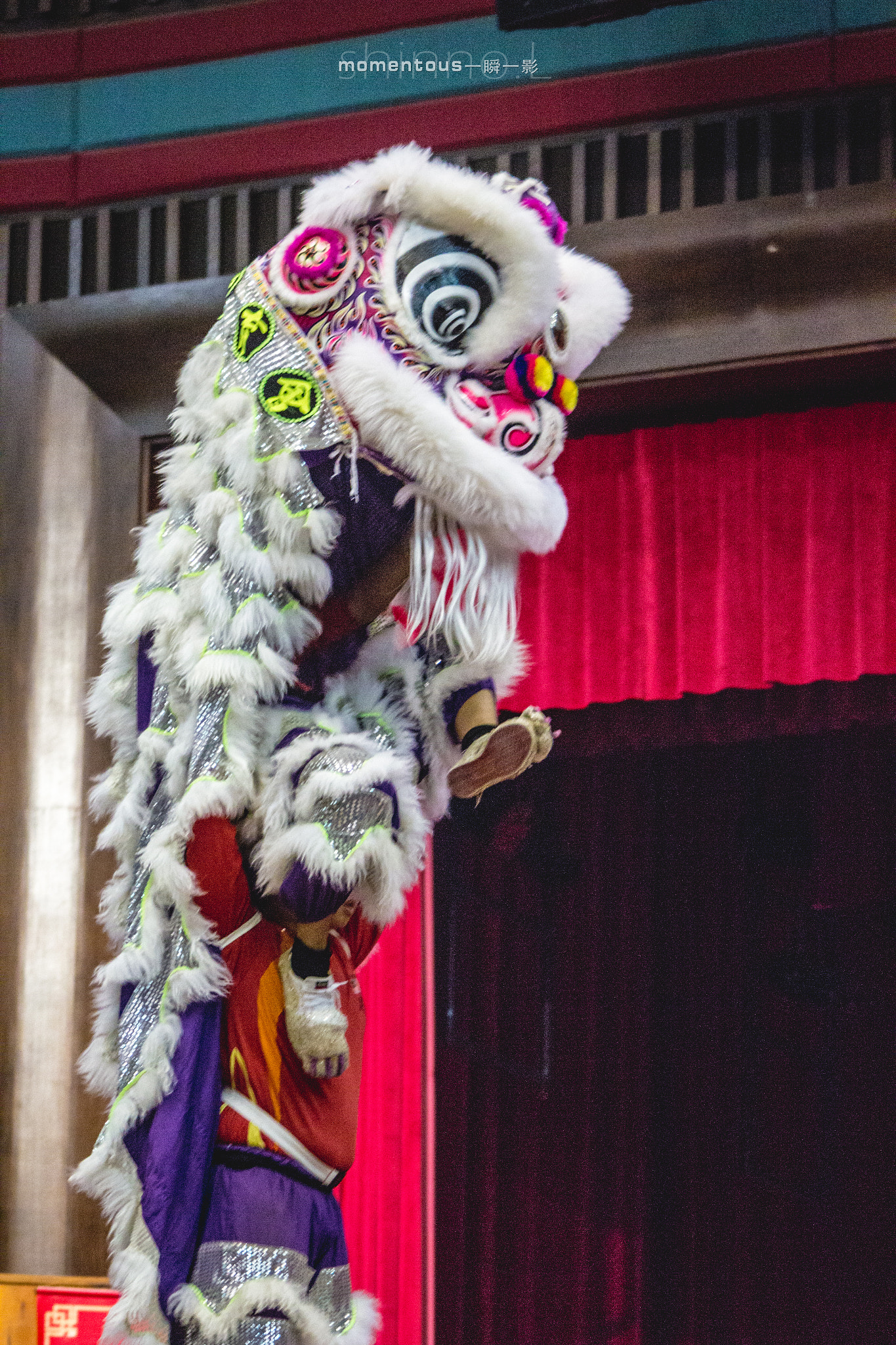 Canon EOS 600D (Rebel EOS T3i / EOS Kiss X5) + Canon EF 90-300mm F4.5-5.6 USM sample photo. Lion dance photography