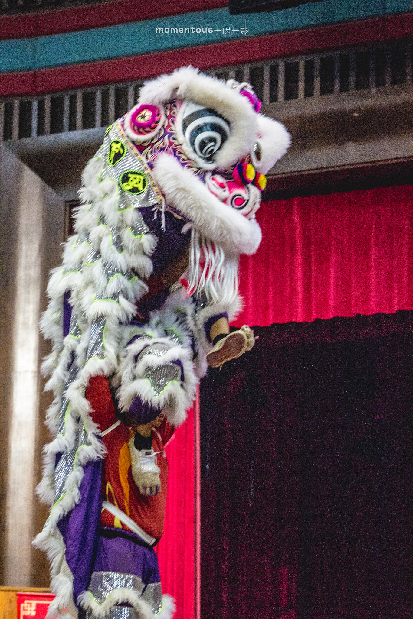 Canon EOS 600D (Rebel EOS T3i / EOS Kiss X5) sample photo. Lion dance photography