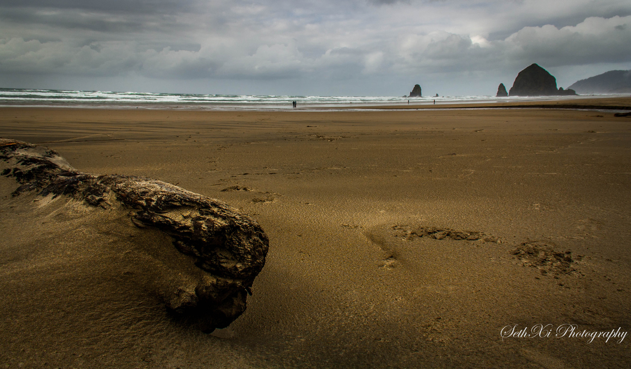 Canon EOS 1000D (EOS Digital Rebel XS / EOS Kiss F) sample photo. Wood by the seashore photography