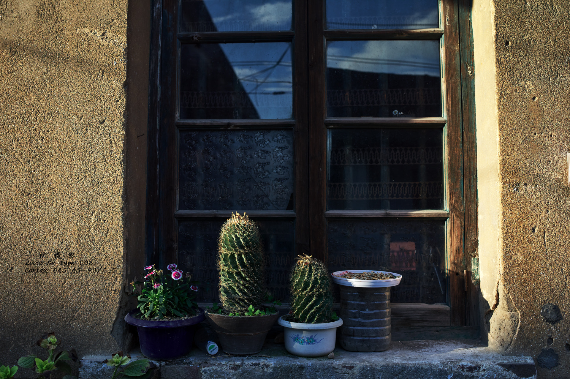 Leica S (TYP 006) sample photo. Windowsill

 photography