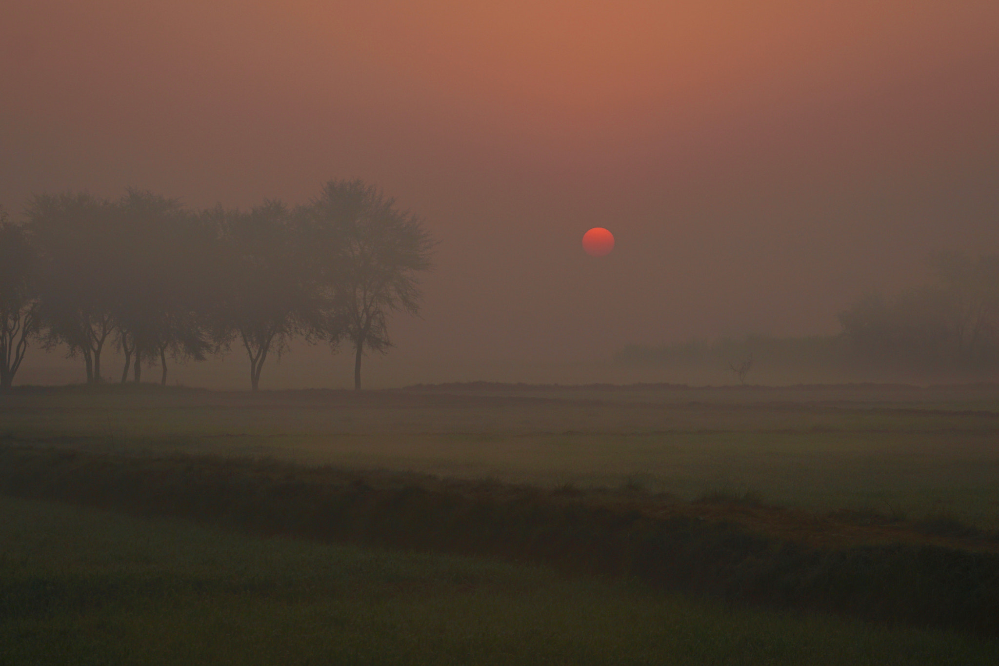 Sony E 18-200mm F3.5-6.3 OSS sample photo. Hazy photography