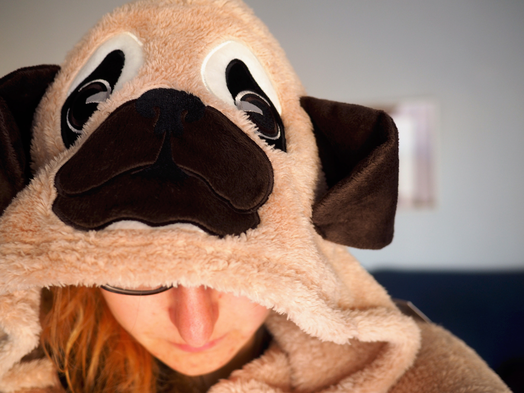 Panasonic Lumix G 20mm F1.7 ASPH sample photo. Pug transformation photography