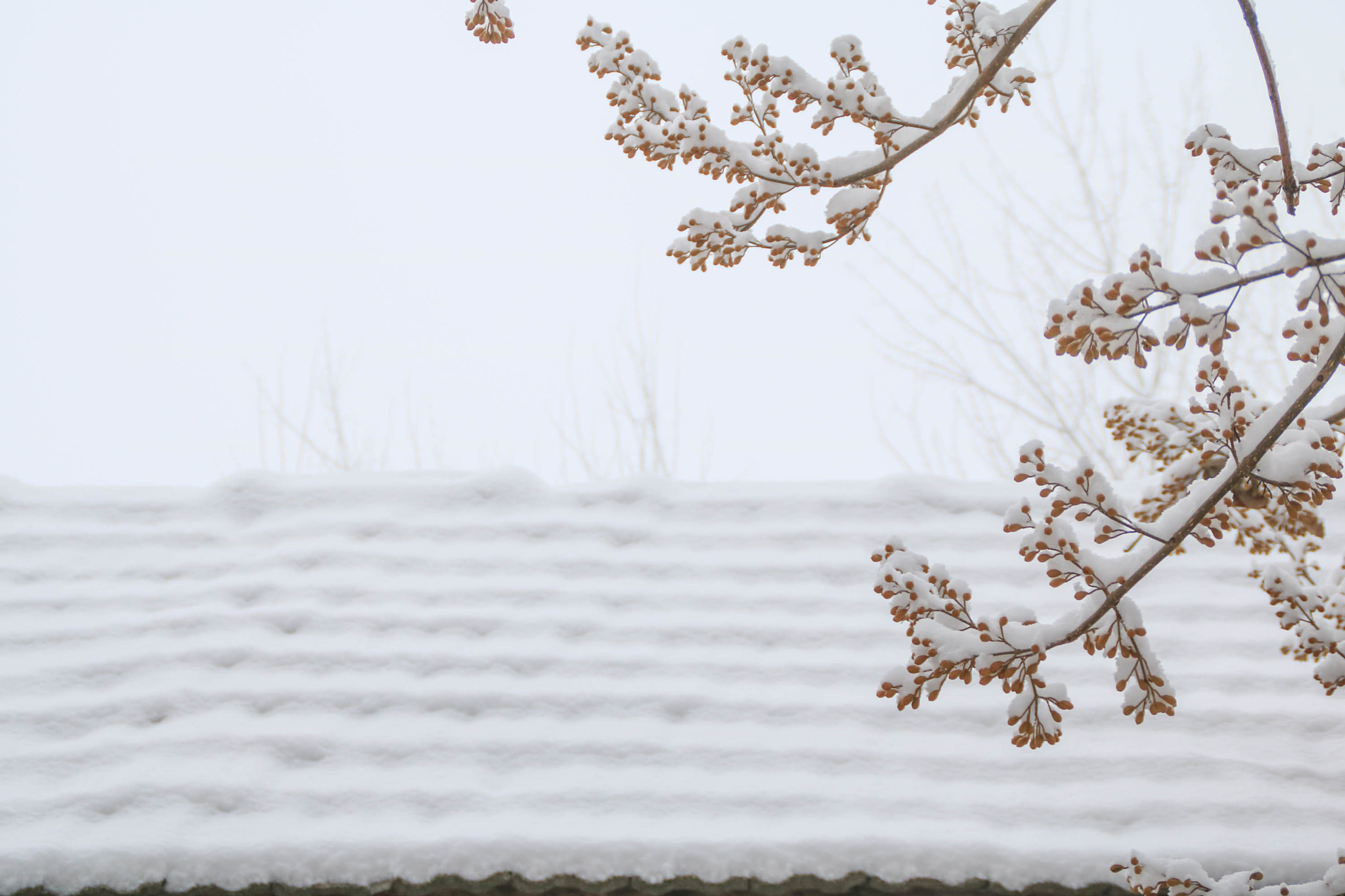 Canon EOS 750D (EOS Rebel T6i / EOS Kiss X8i) sample photo. Img photography