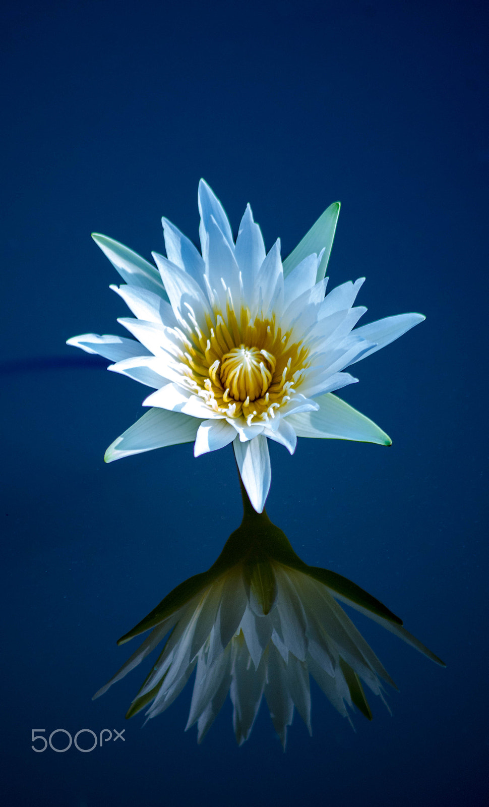 Sigma 70-300mm F4-5.6 APO DG Macro sample photo. Sacred photography