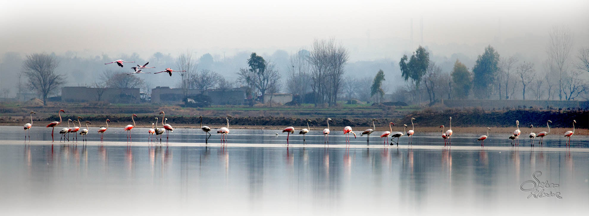 Sigma 150-600mm F5-6.3 DG OS HSM | C sample photo. Soon velly #2 photography