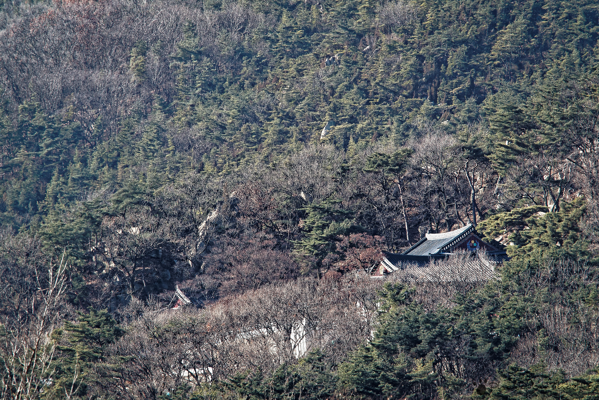 Olympus OM-D E-M5 II + Olympus M.Zuiko Digital ED 40-150mm F2.8 Pro sample photo. A temple photography