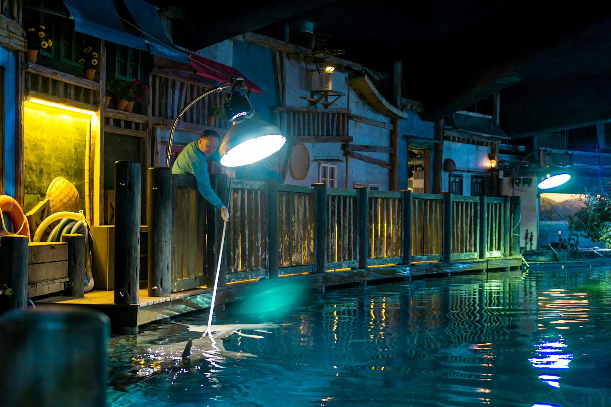 Sony E 35mm F1.8 OSS sample photo. The sharks of ocean park hong kong photography