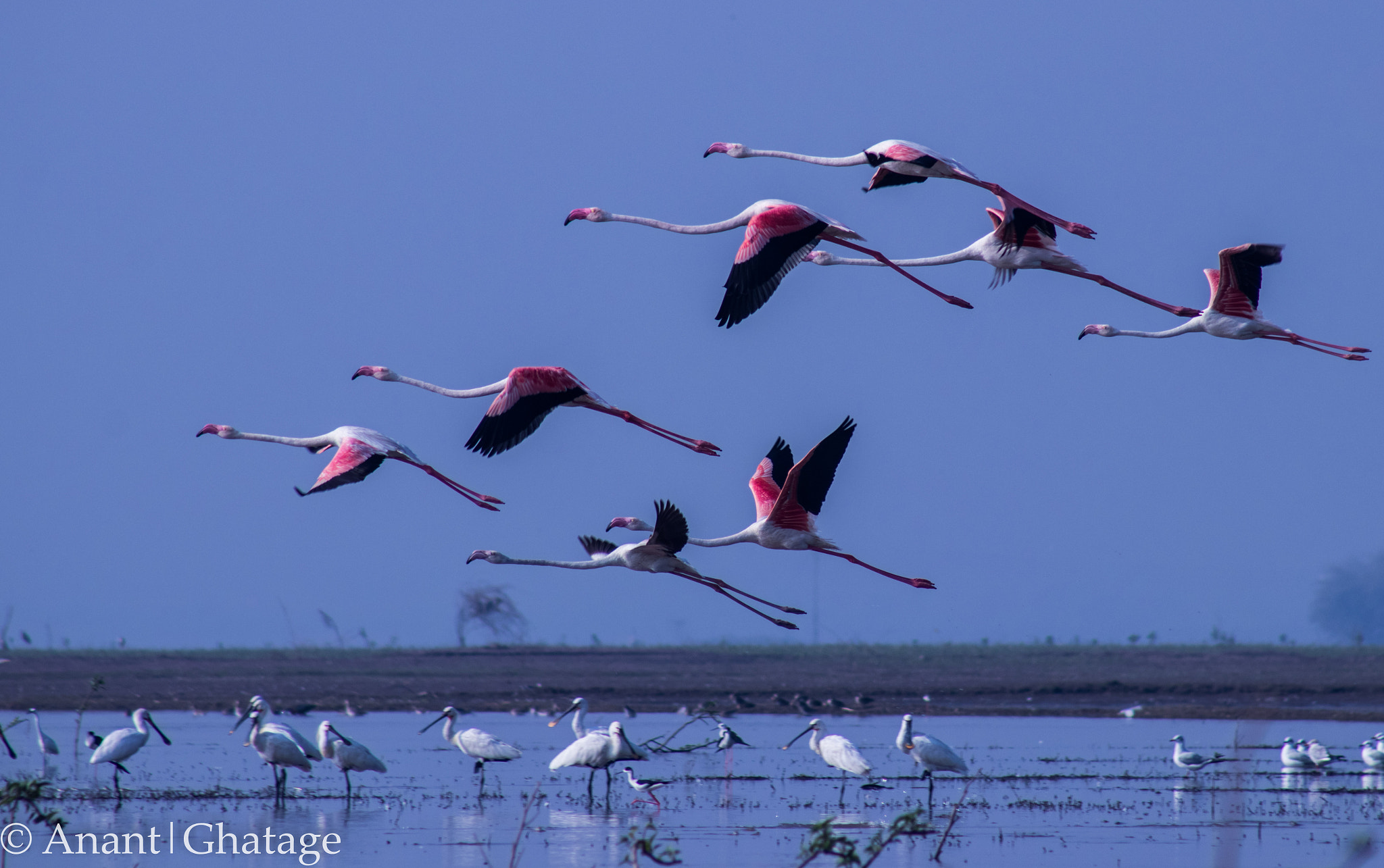 EF75-300mm f/4-5.6 sample photo. Lets fly... photography
