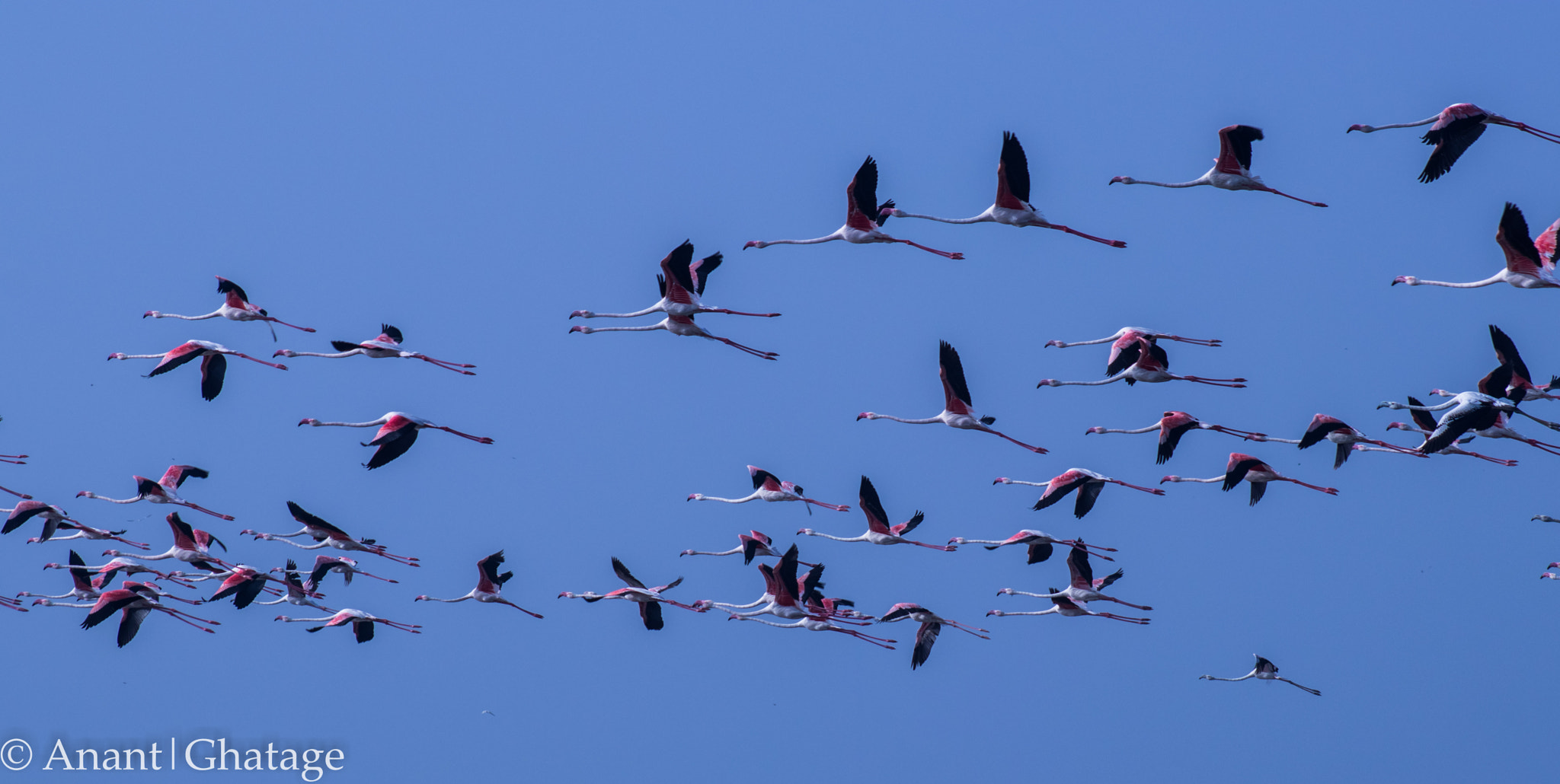 EF75-300mm f/4-5.6 sample photo. Lets paint the sky pink! photography