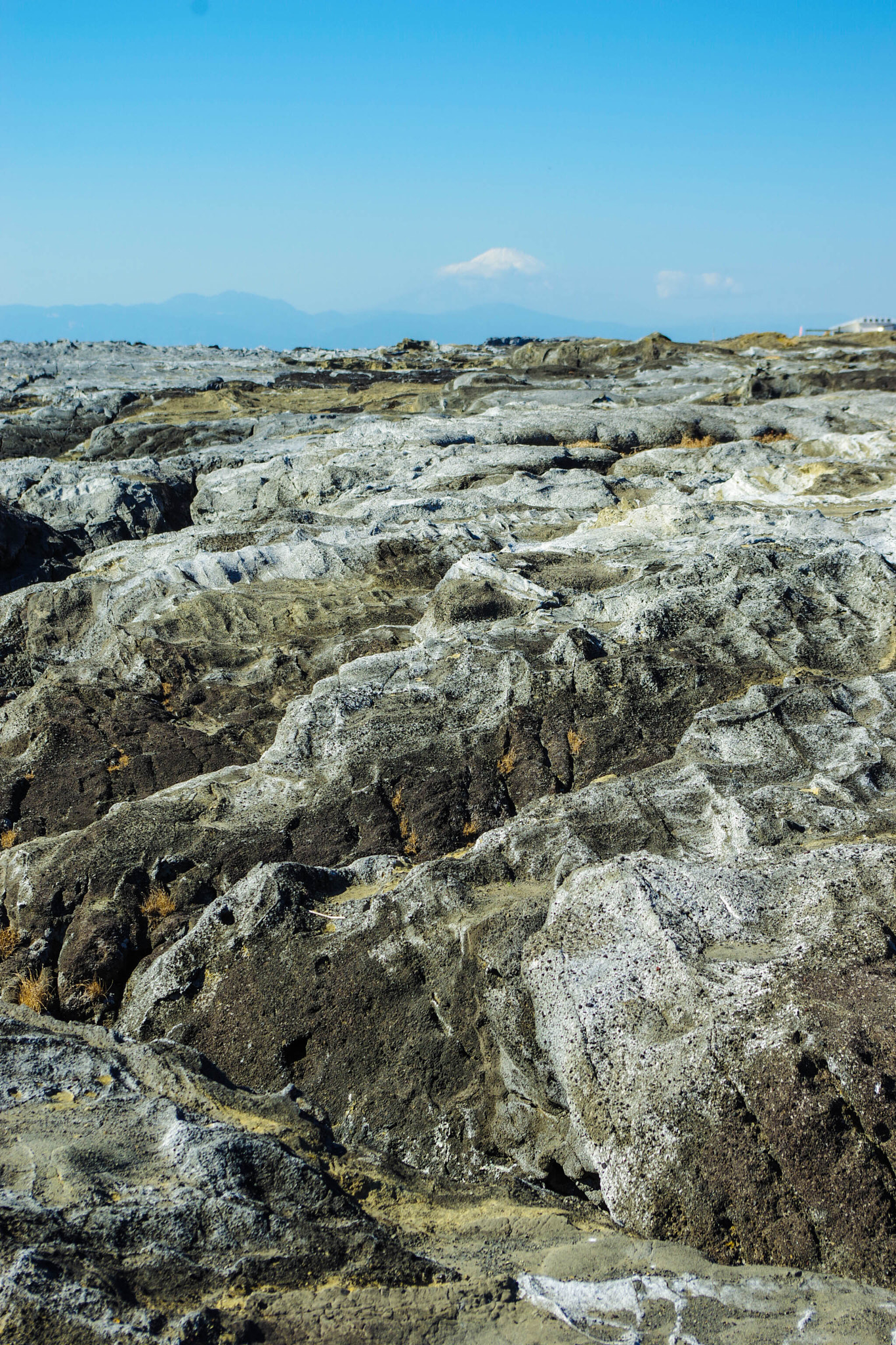 Pentax smc DA 18-55mm F3.5-5.6 AL WR sample photo. 城ヶ島 photography