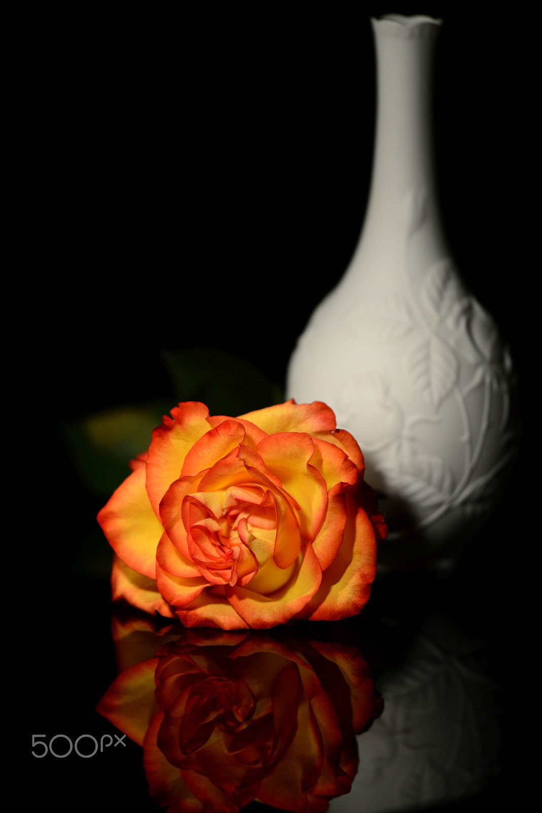 Nikon D800 + Sigma 150mm F2.8 EX DG OS Macro HSM sample photo. Rose photography